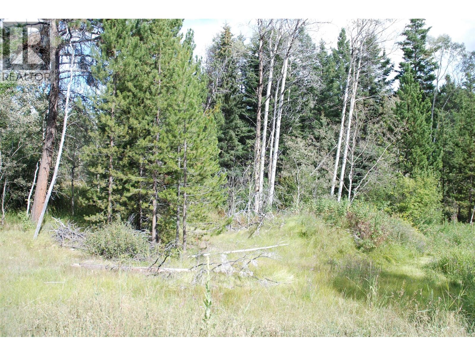 396 Wild Rose Drive, Merritt, British Columbia  V1K 1B8 - Photo 3 - 10375480
