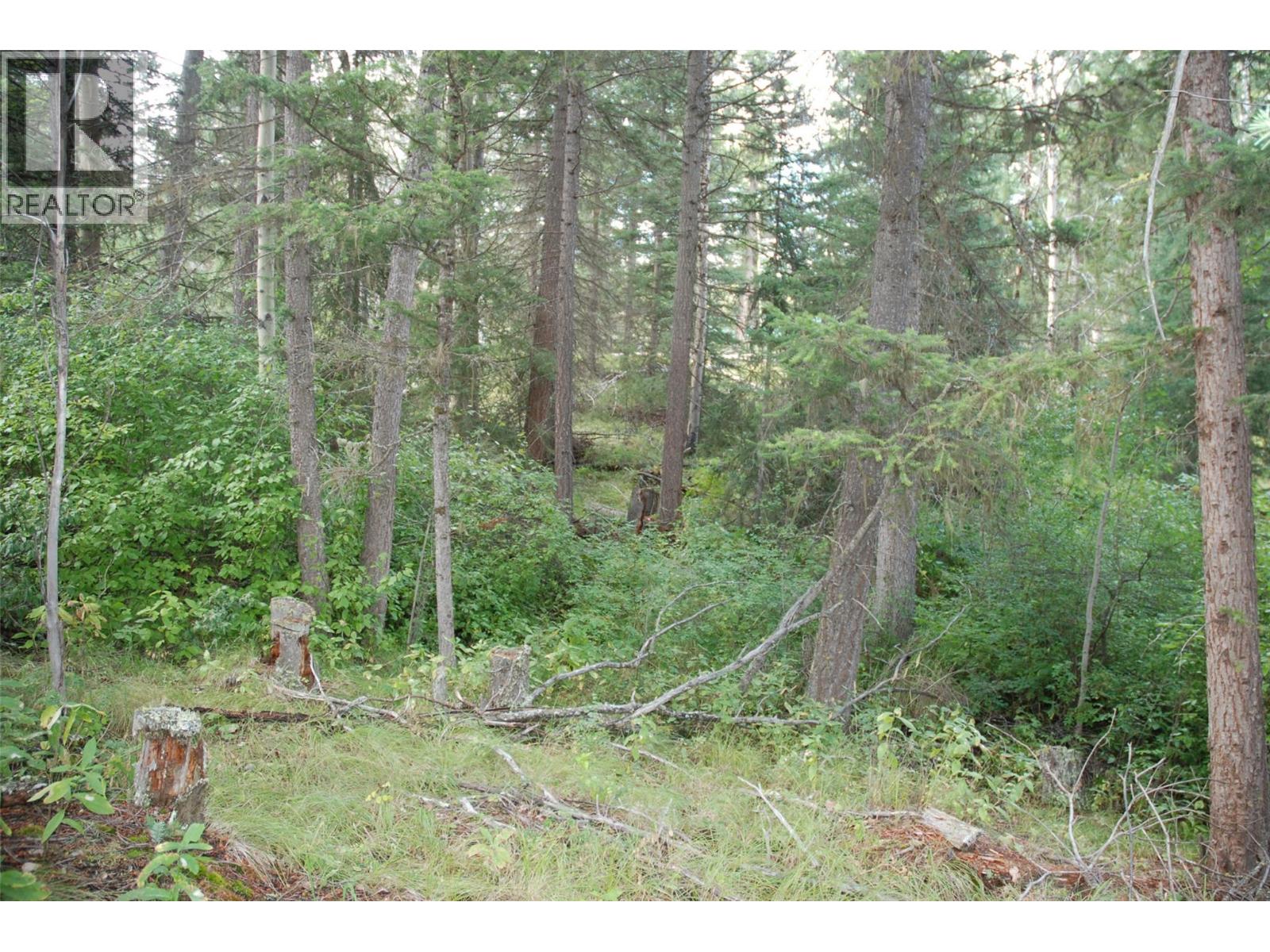 396 Wild Rose Drive, Merritt, British Columbia  V1K 1B8 - Photo 4 - 10375480
