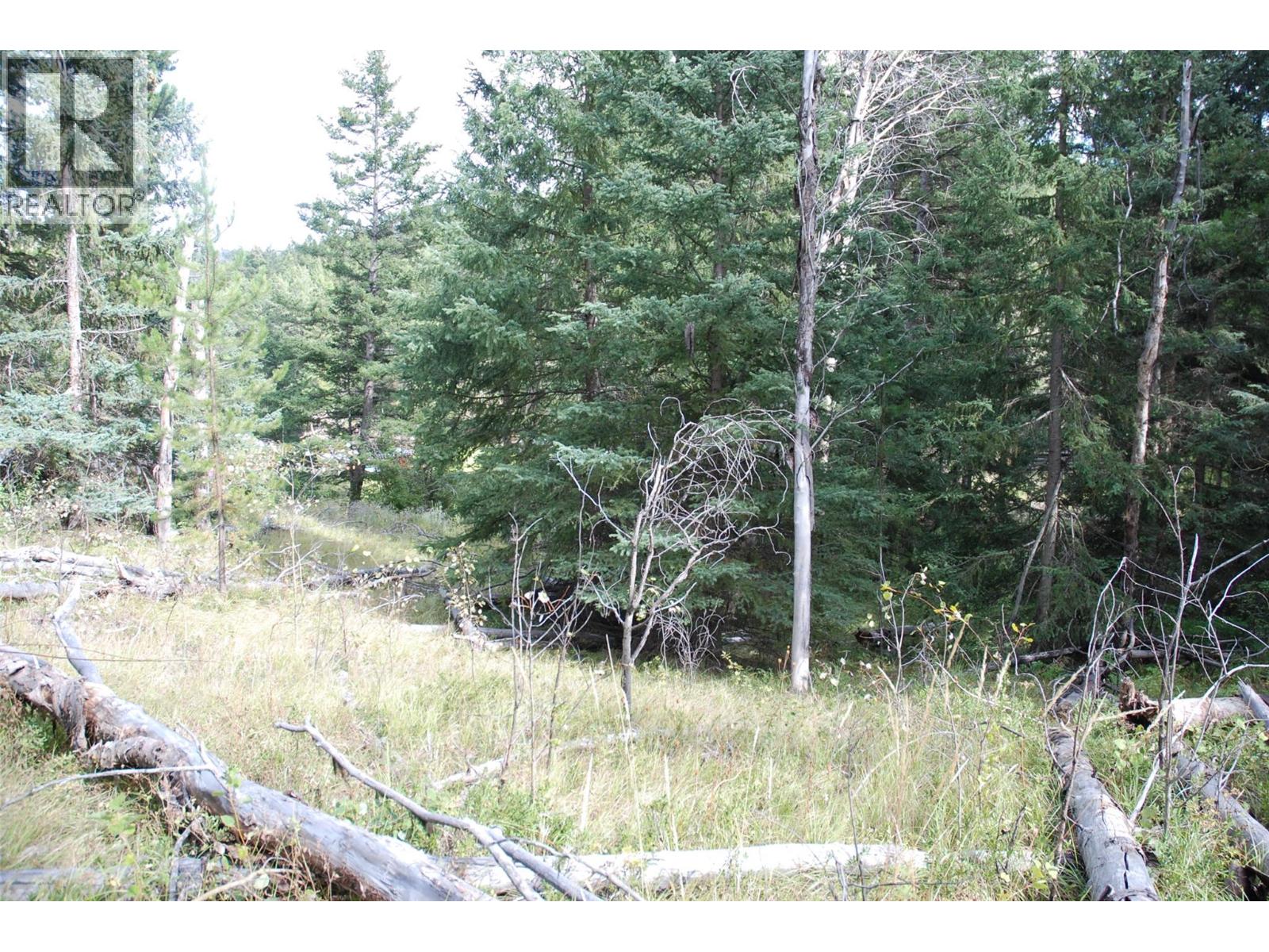396 Wild Rose Drive, Merritt, British Columbia  V1K 1B8 - Photo 6 - 10375480