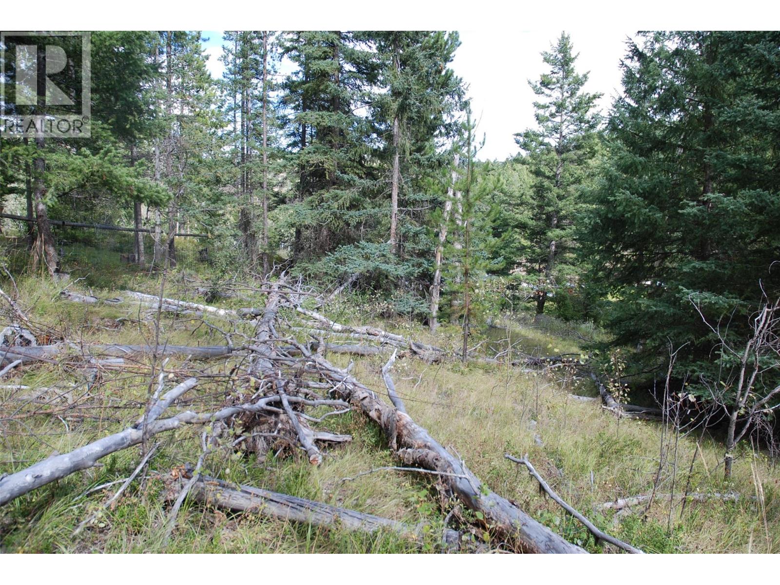 396 Wild Rose Drive, Merritt, British Columbia  V1K 1B8 - Photo 7 - 10375480