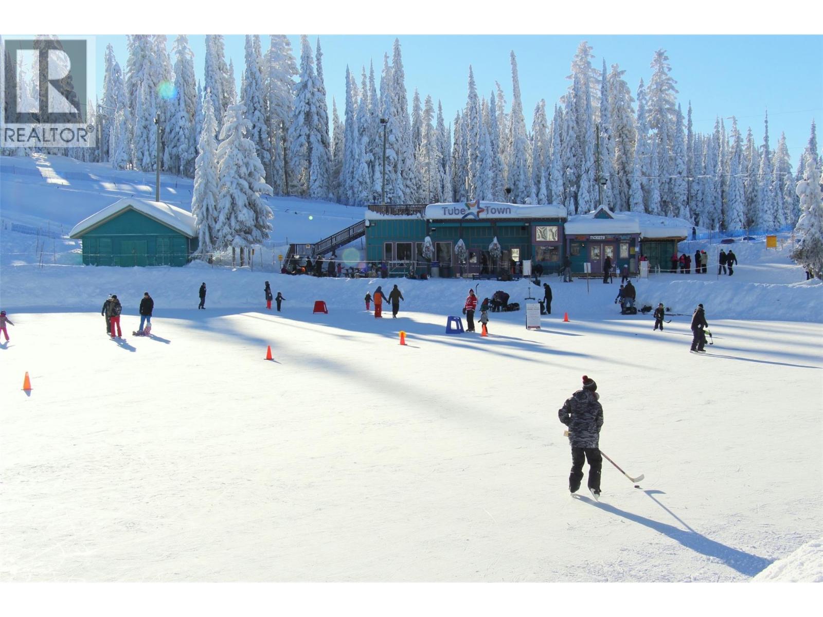 30 Monashee Road Unit# 205, Silver Star, British Columbia  V1B 3M1 - Photo 29 - 10375205