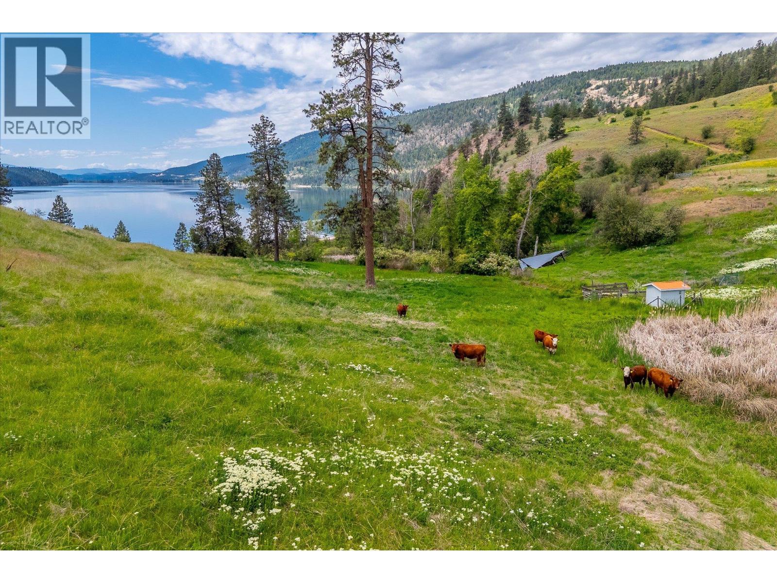 201 Highway 97, Vernon, British Columbia  V1H 1G1 - Photo 25 - 10375406