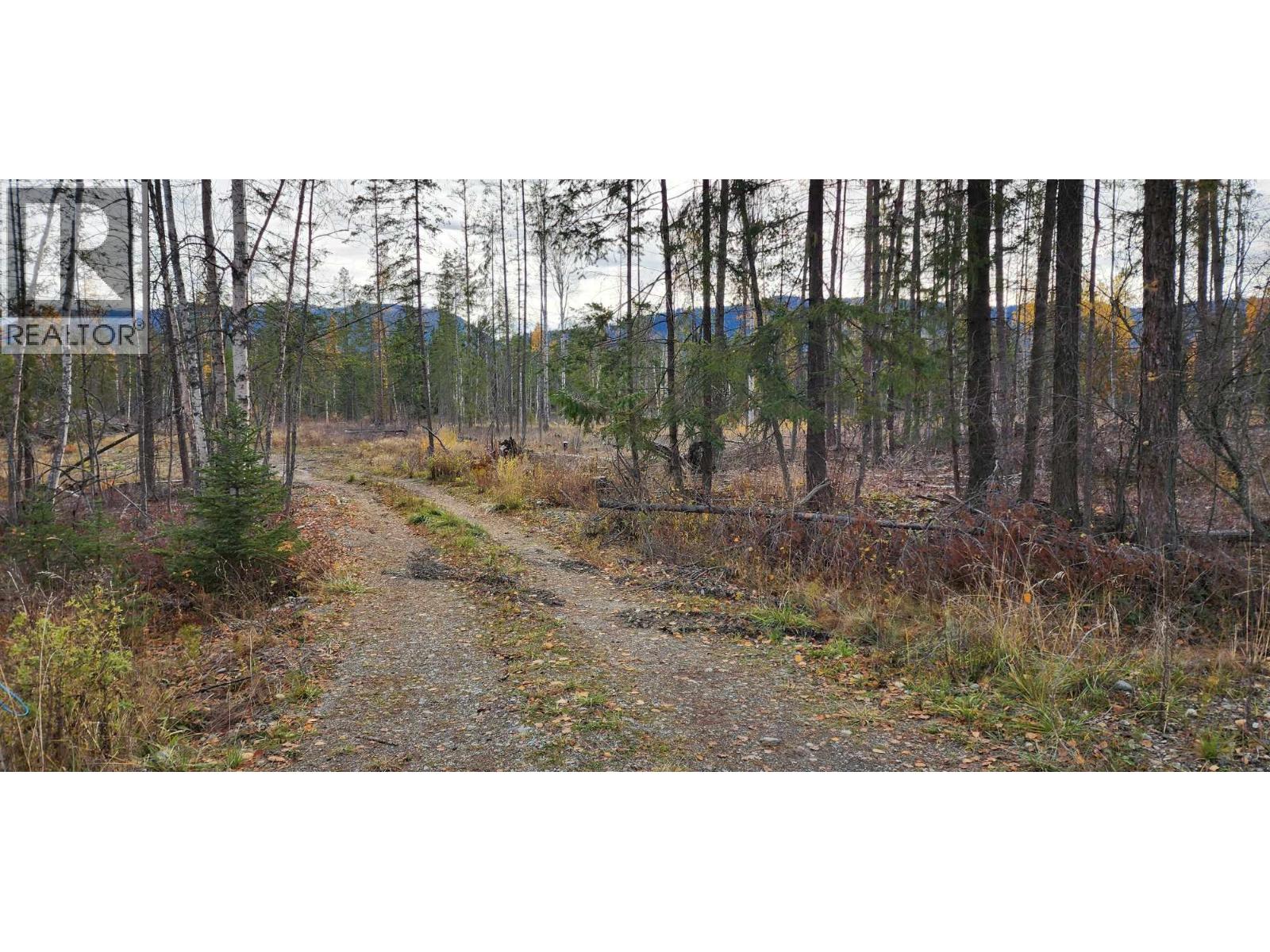 30 Campbell Road, Cherryville, British Columbia  V0e 2G3 - Photo 15 - 10375505