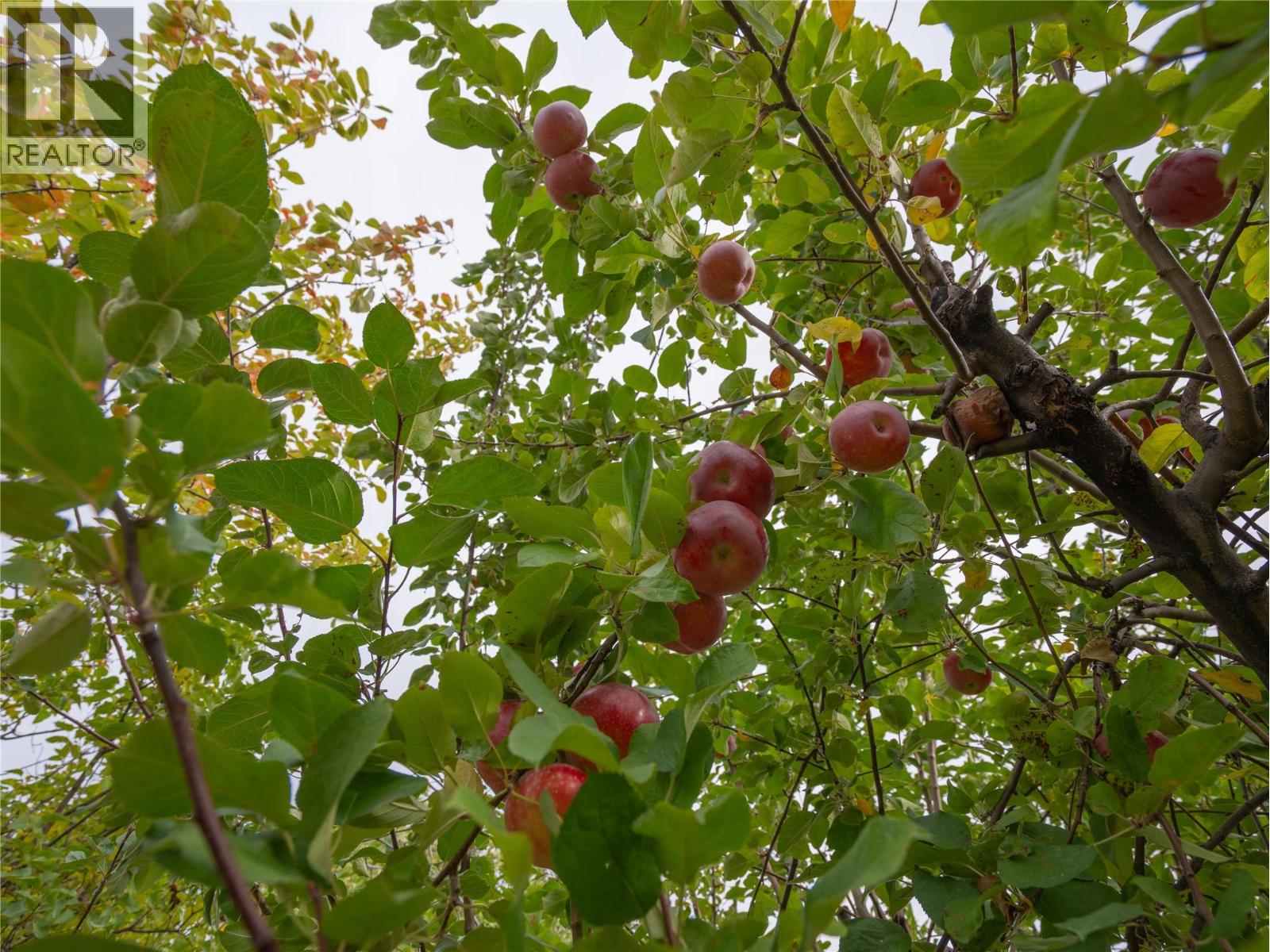 190 Dafoe Place, Penticton, British Columbia  V2A 7E6 - Photo 30 - 10375515