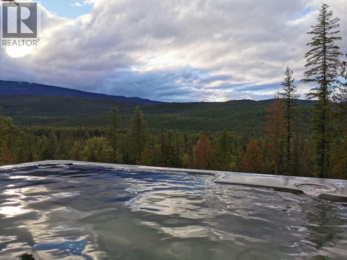 1446 Nittel Road, Seymour Arm, British Columbia  V0E 1M0 - Photo 77 - 10373345