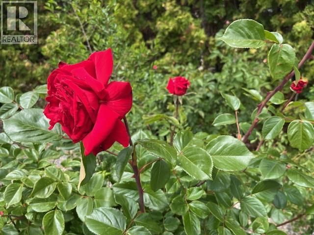 4008 Lobelia Drive, Osoyoos, British Columbia  V0H 1V1 - Photo 3 - 10375336