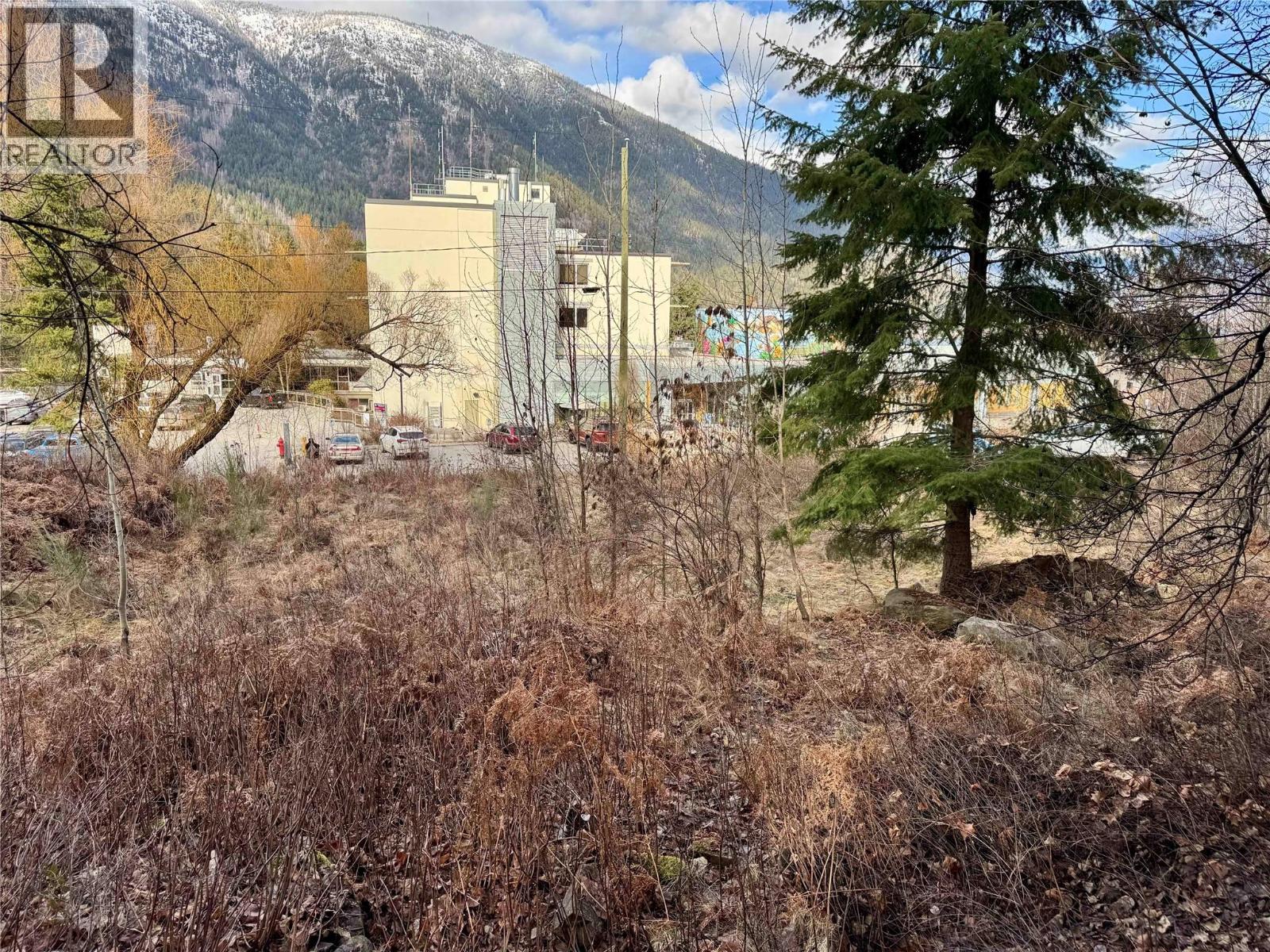 8, 10 & 16 View Street, Nelson, British Columbia  V1L 2V2 - Photo 43 - 10375397