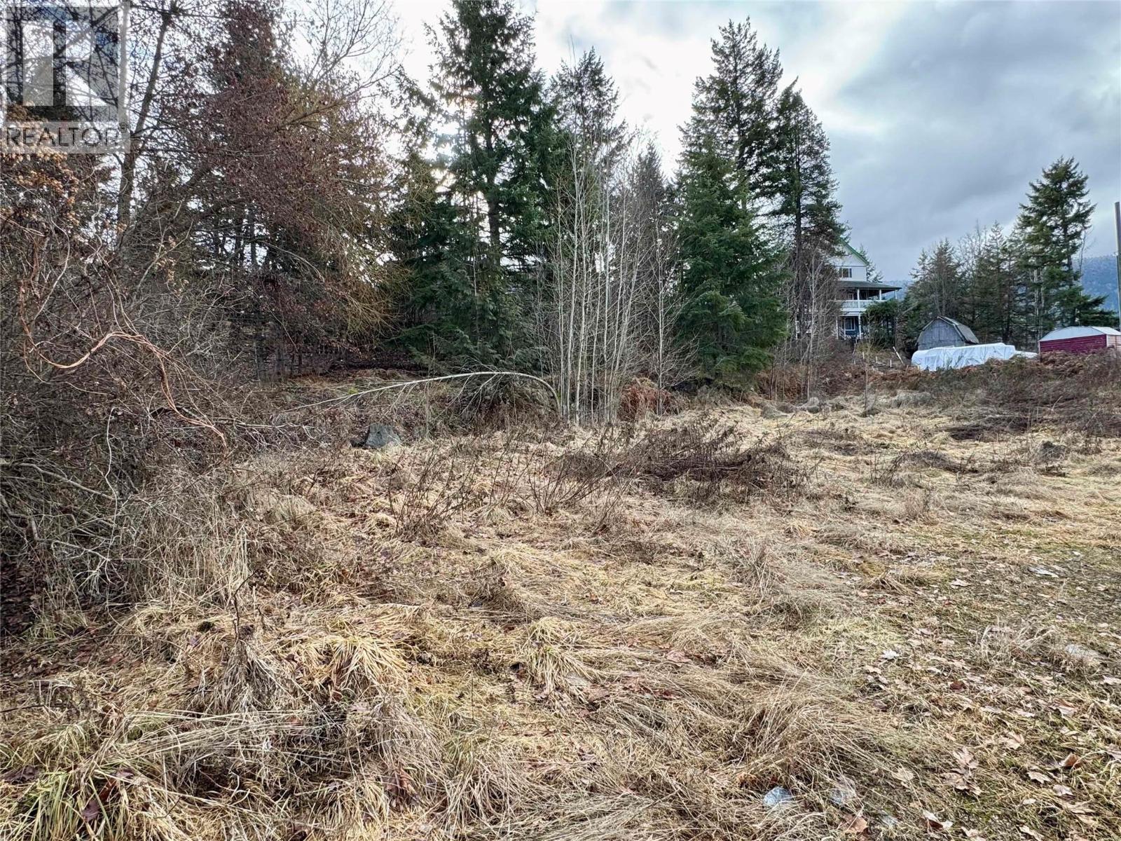 8, 10 & 16 View Street, Nelson, British Columbia  V1L 2V2 - Photo 47 - 10375397