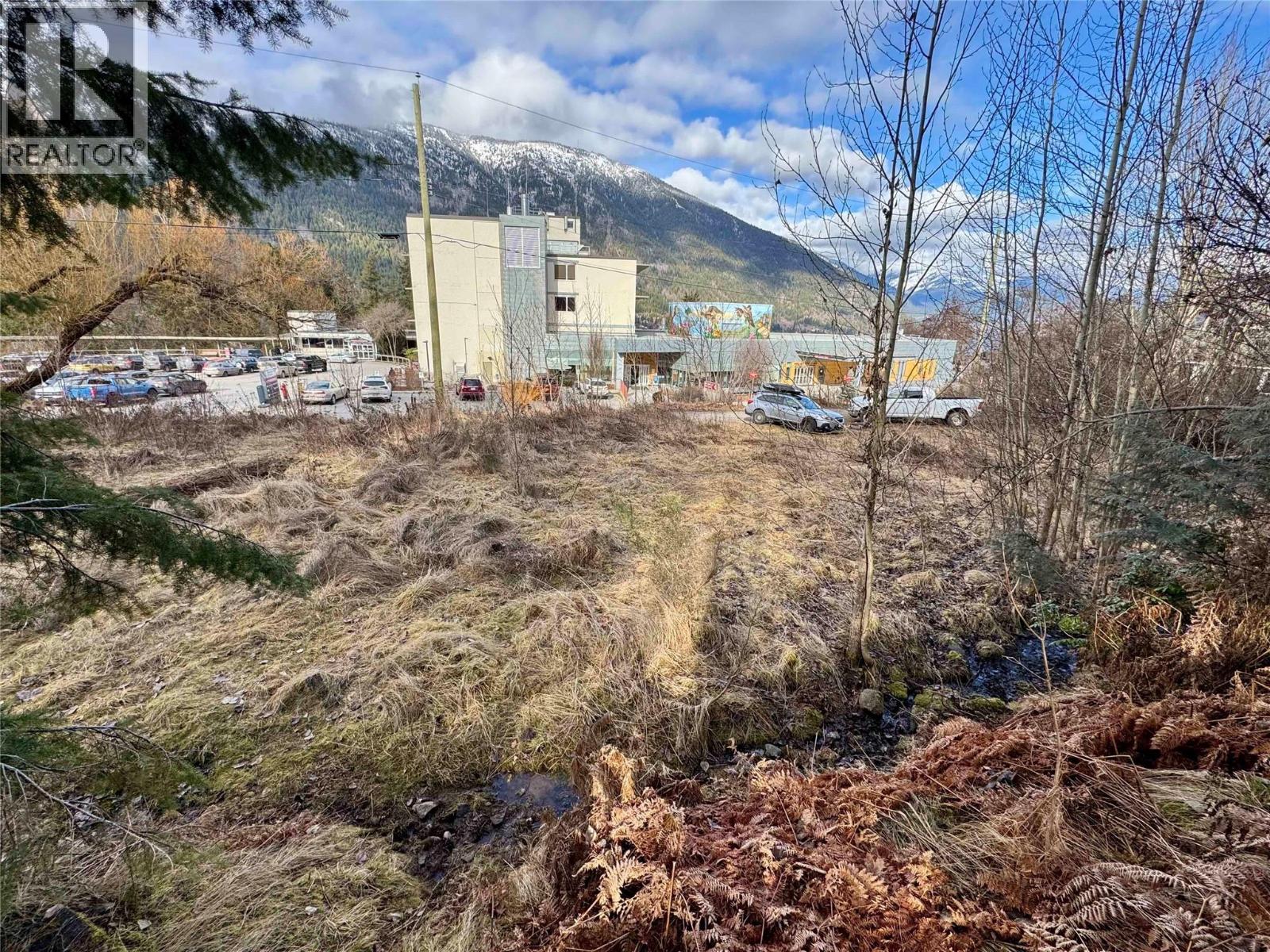 8, 10 & 16 View Street, Nelson, British Columbia  V1L 2V2 - Photo 5 - 10375397