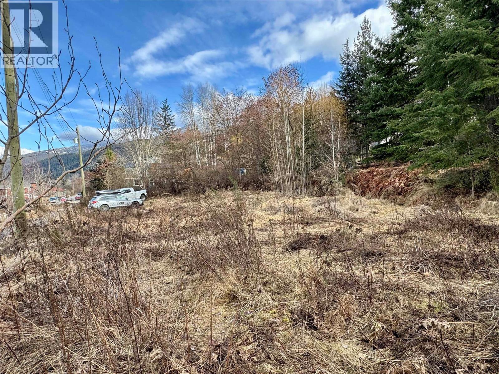 8, 10 & 16 View Street, Nelson, British Columbia  V1L 2V2 - Photo 6 - 10375397