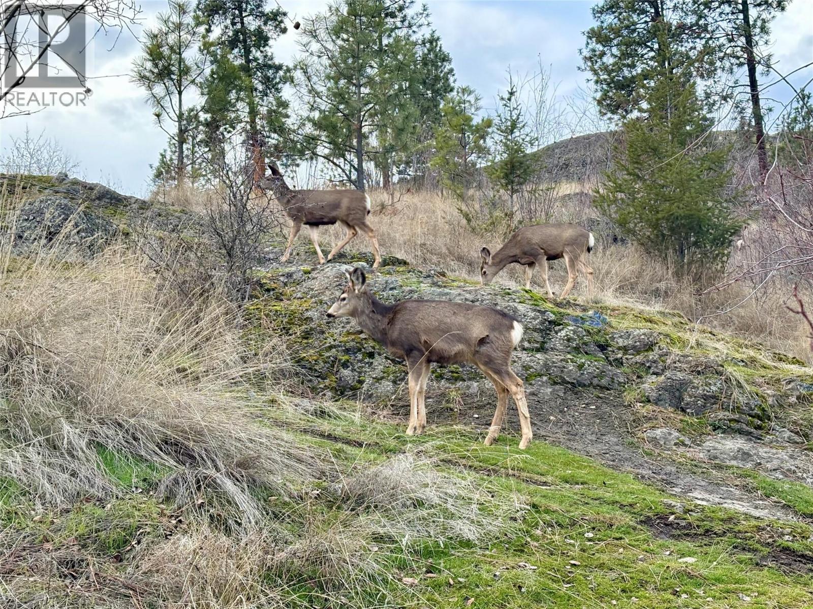 3409 39 Avenue, Vernon, British Columbia  V1T 3E3 - Photo 50 - 10374159