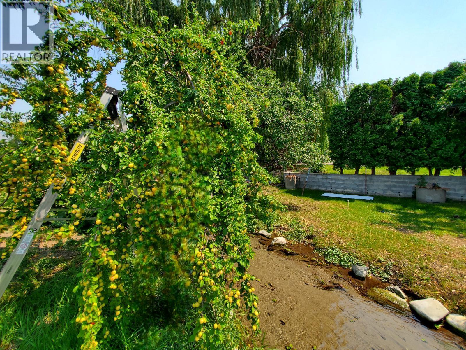 1602 85th Street, Osoyoos, British Columbia  V0H 1V1 - Photo 44 - 10375670