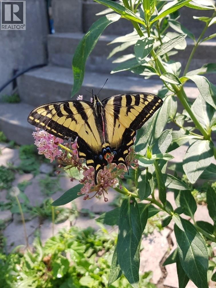 1602 85th Street, Osoyoos, British Columbia  V0H 1V1 - Photo 45 - 10375670