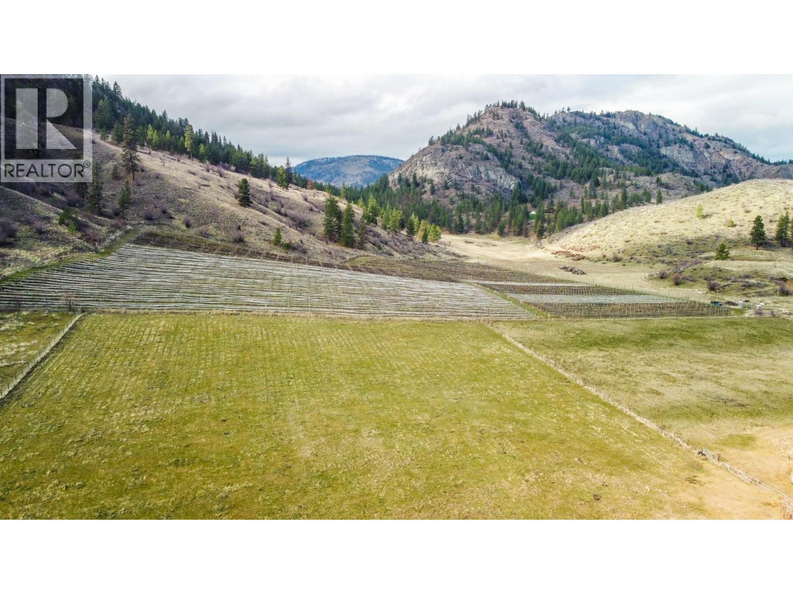 698 Green Lake Road, Oliver, British Columbia  V0H 1T5 - Photo 4 - 10375341