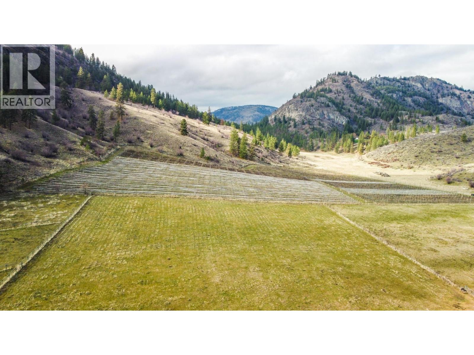 698 Green Lake Road, Oliver, British Columbia  V0H 1T5 - Photo 63 - 10375341