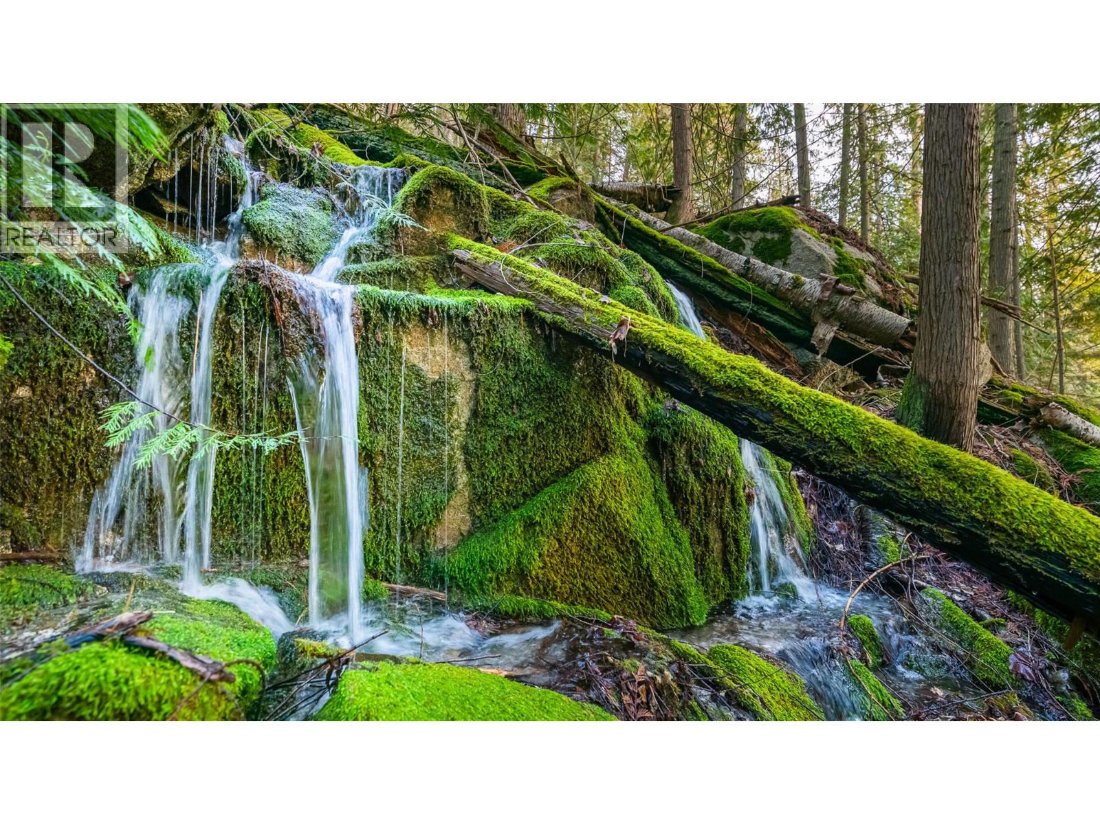 10333 3a Highway, Kuskanook, British Columbia  V0B 1A1 - Photo 10 - 10374180