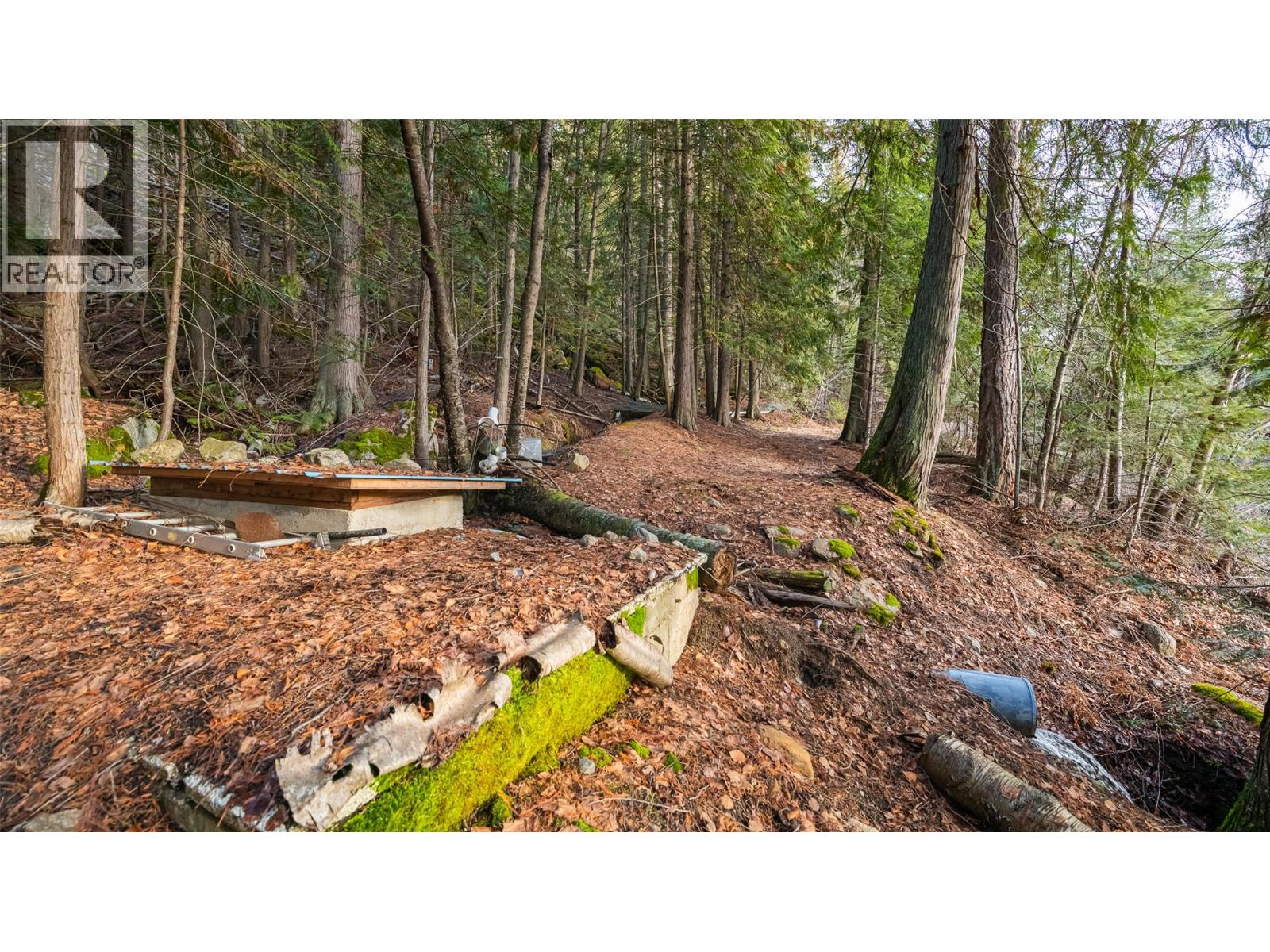 10333 3a Highway, Kuskanook, British Columbia  V0B 1A1 - Photo 66 - 10374180