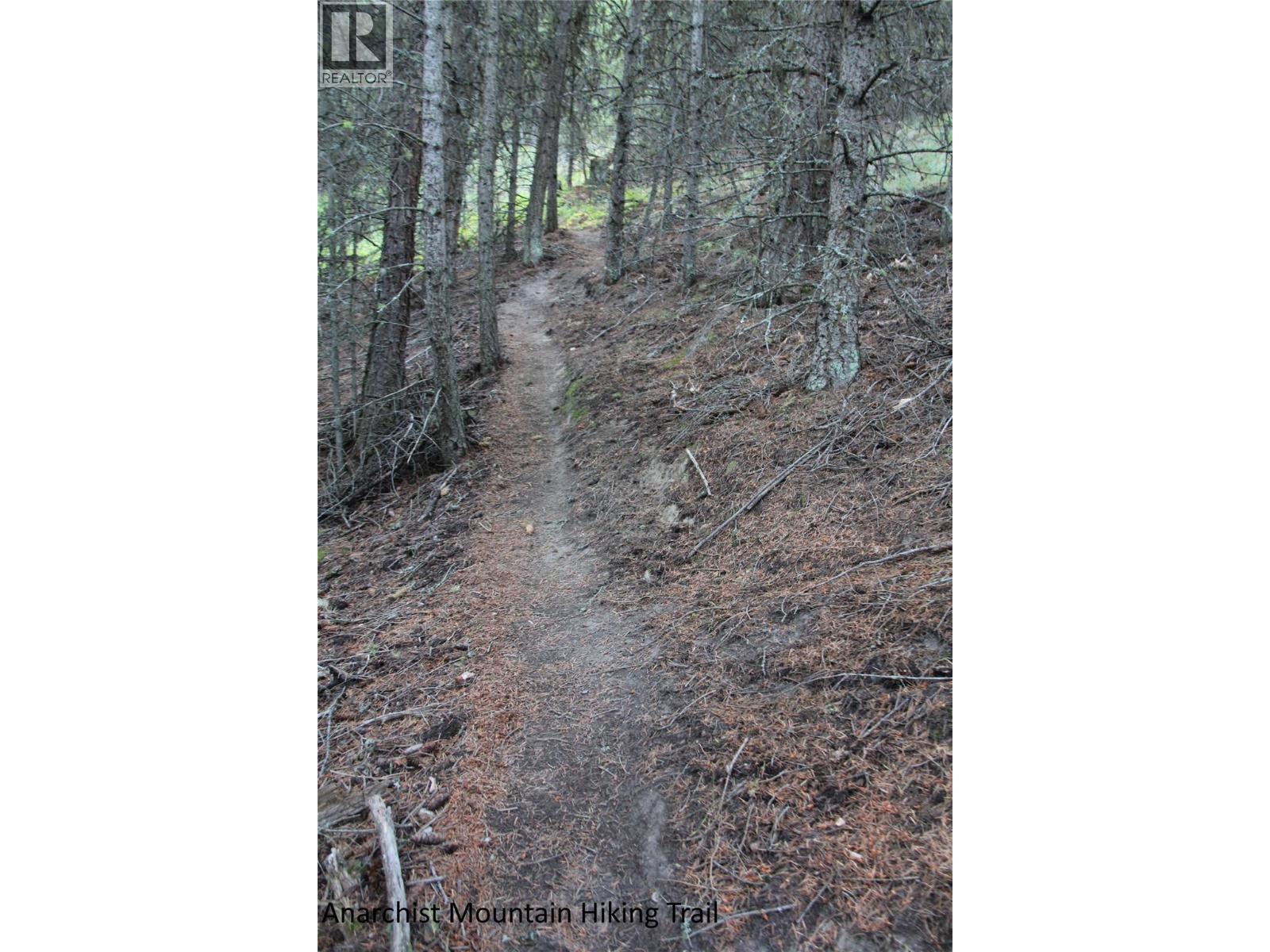 220 Sasquatch Trail, Osoyoos, British Columbia  V0H 1V0 - Photo 33 - 10375549