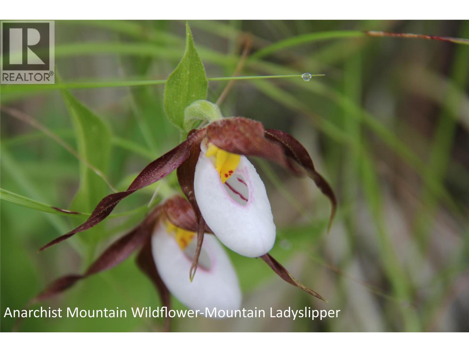 220 Sasquatch Trail, Osoyoos, British Columbia  V0H 1V0 - Photo 34 - 10375549