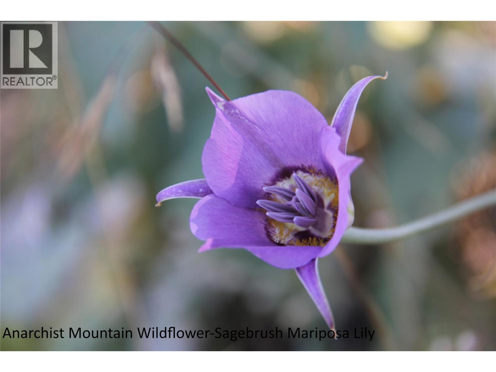 220 Sasquatch Trail, Osoyoos, British Columbia  V0H 1V0 - Photo 35 - 10375549