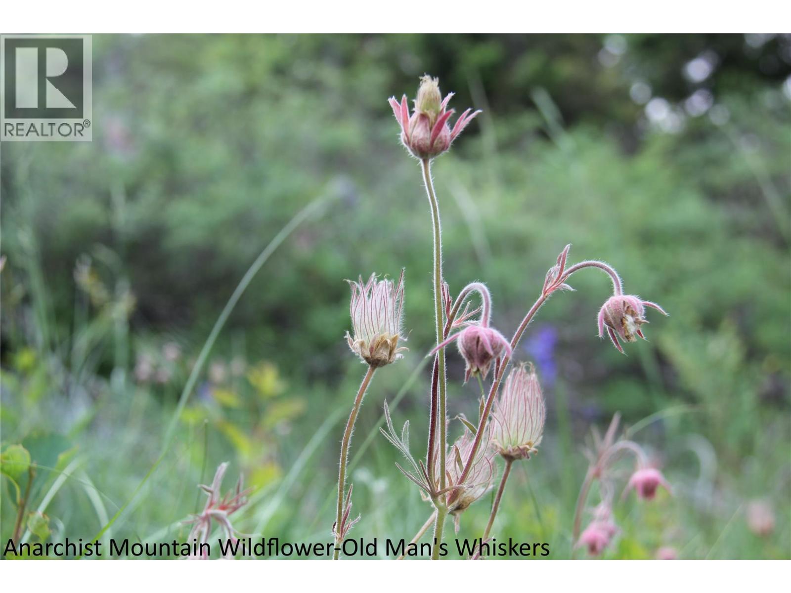 220 Sasquatch Trail, Osoyoos, British Columbia  V0H 1V0 - Photo 36 - 10375549