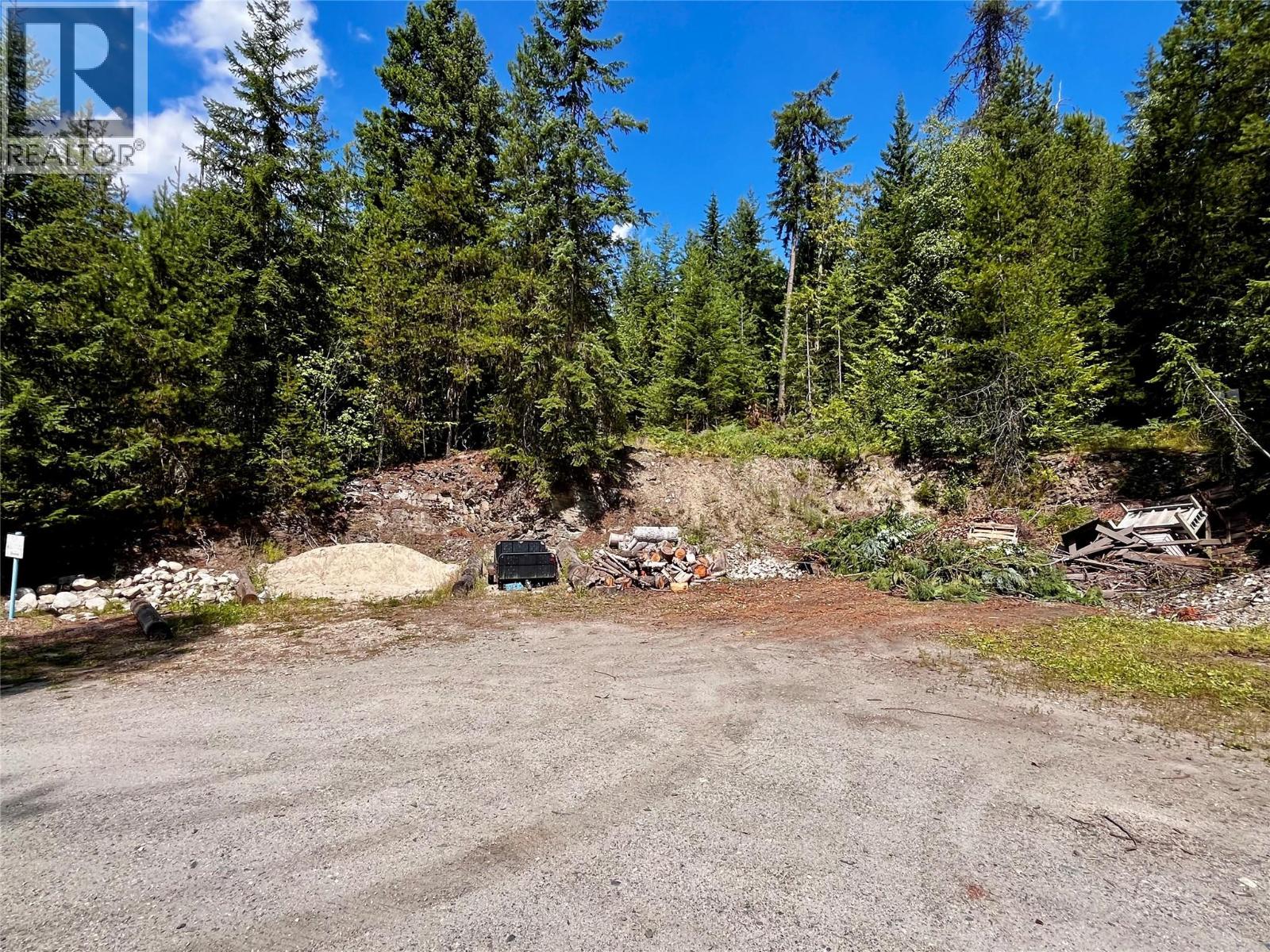 1701 Highway 23 Highway, Nakusp, British Columbia  V0G 1R0 - Photo 83 - 10375266