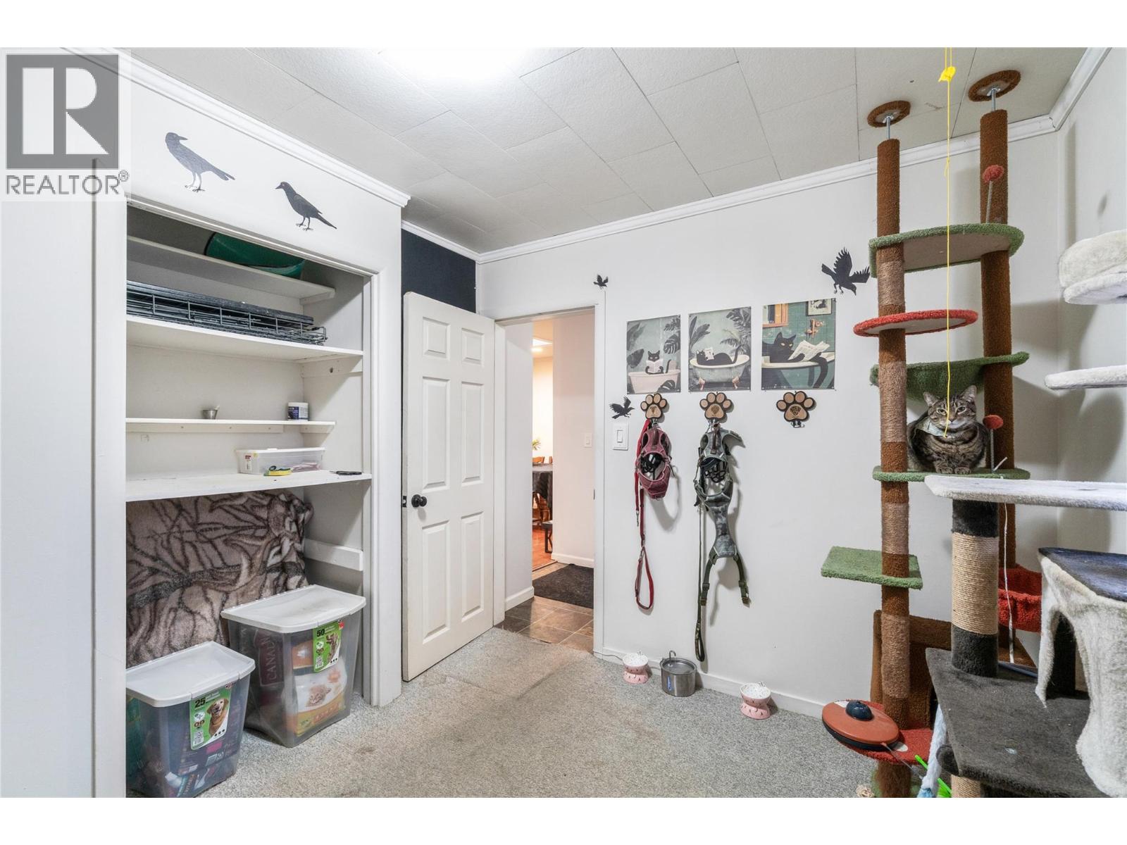 315 Bass Avenue, Enderby, British Columbia  V0E 1V0 - Photo 57 - 10375428