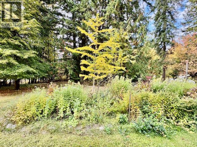 7812 6 Highway, Fauquier, British Columbia  V0G 1K0 - Photo 32 - 10369058