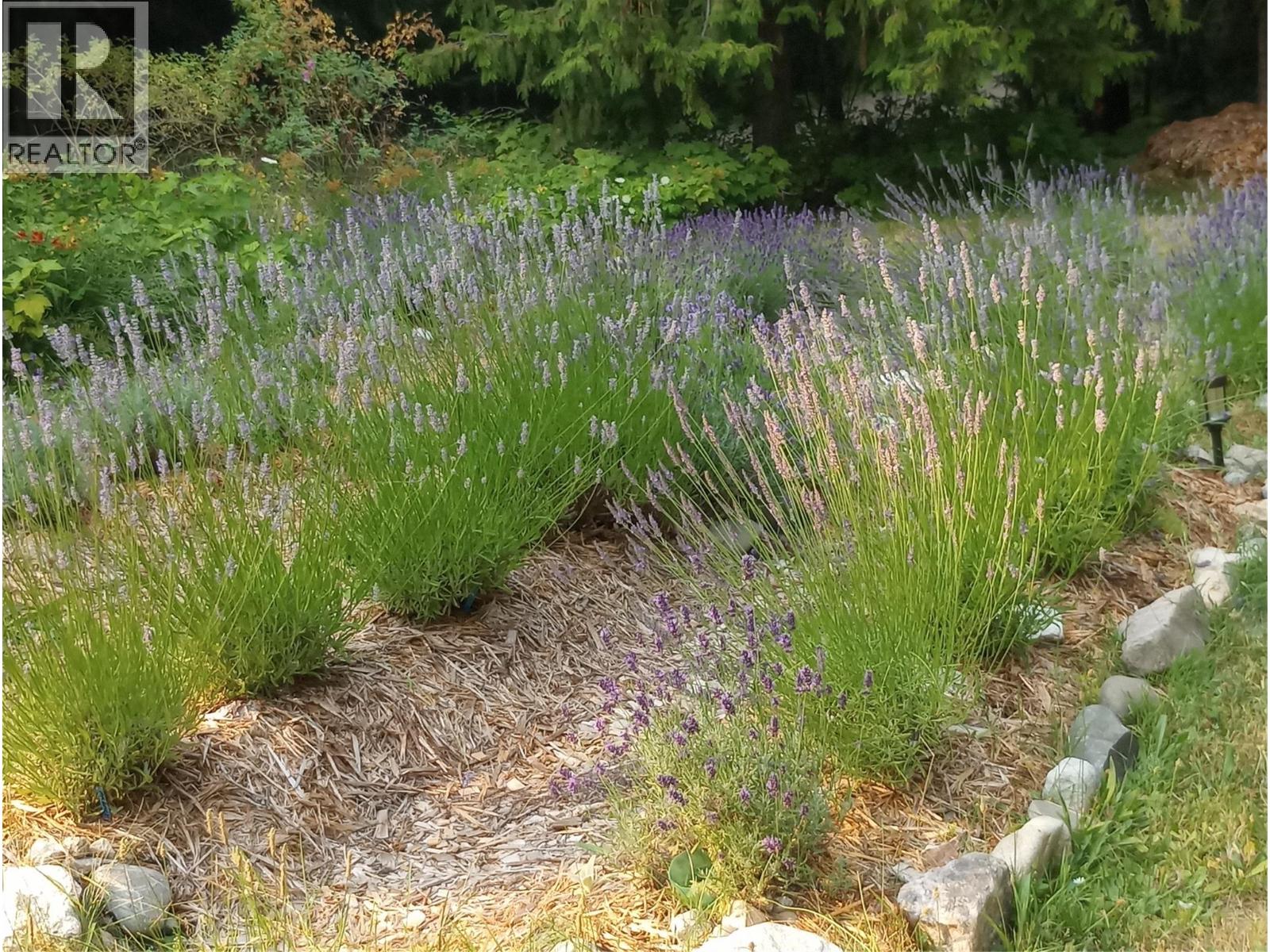 7812 6 Highway, Fauquier, British Columbia  V0G 1K0 - Photo 45 - 10369058