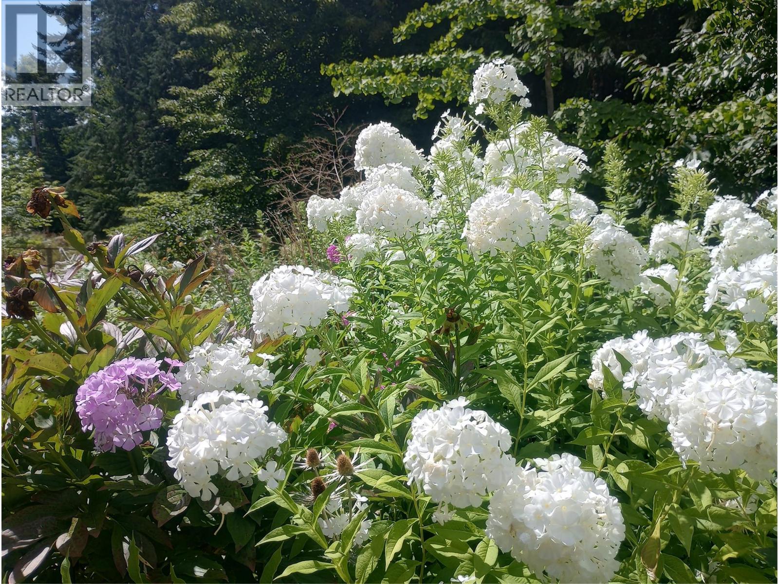 7812 6 Highway, Fauquier, British Columbia  V0G 1K0 - Photo 48 - 10369058