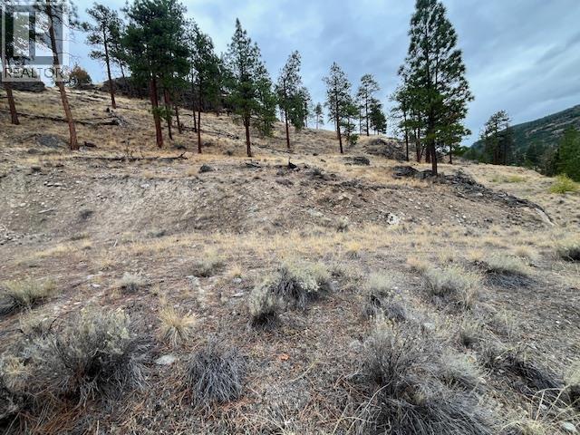 149 Saliken Drive, Penticton, British Columbia  V2A 8V6 - Photo 11 - 10375911