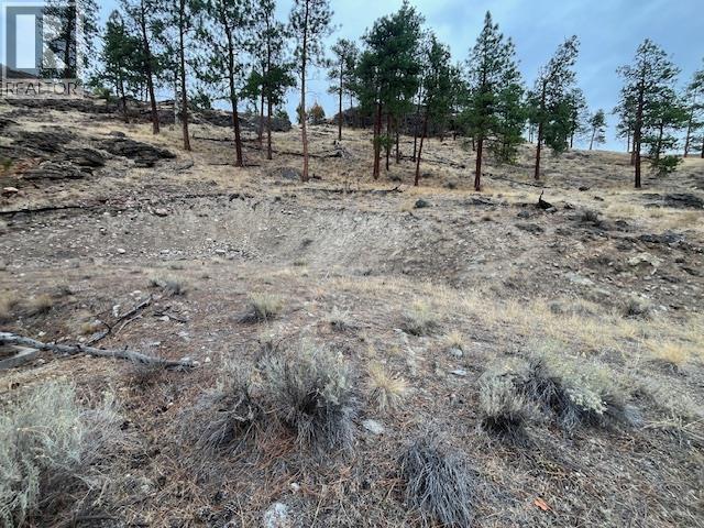 149 Saliken Drive, Penticton, British Columbia  V2A 8V6 - Photo 12 - 10375911