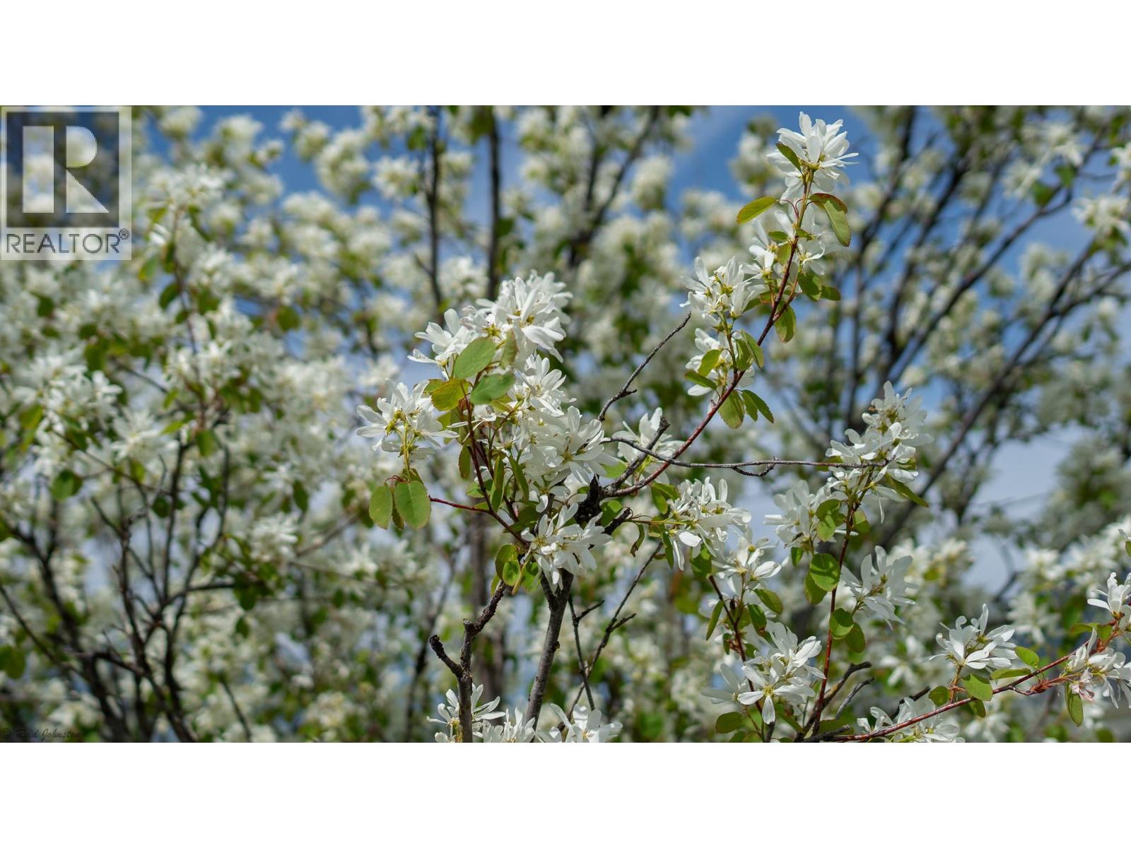 Lot C Phillips Road, Creston, British Columbia  V0B 1G2 - Photo 10 - 10375707