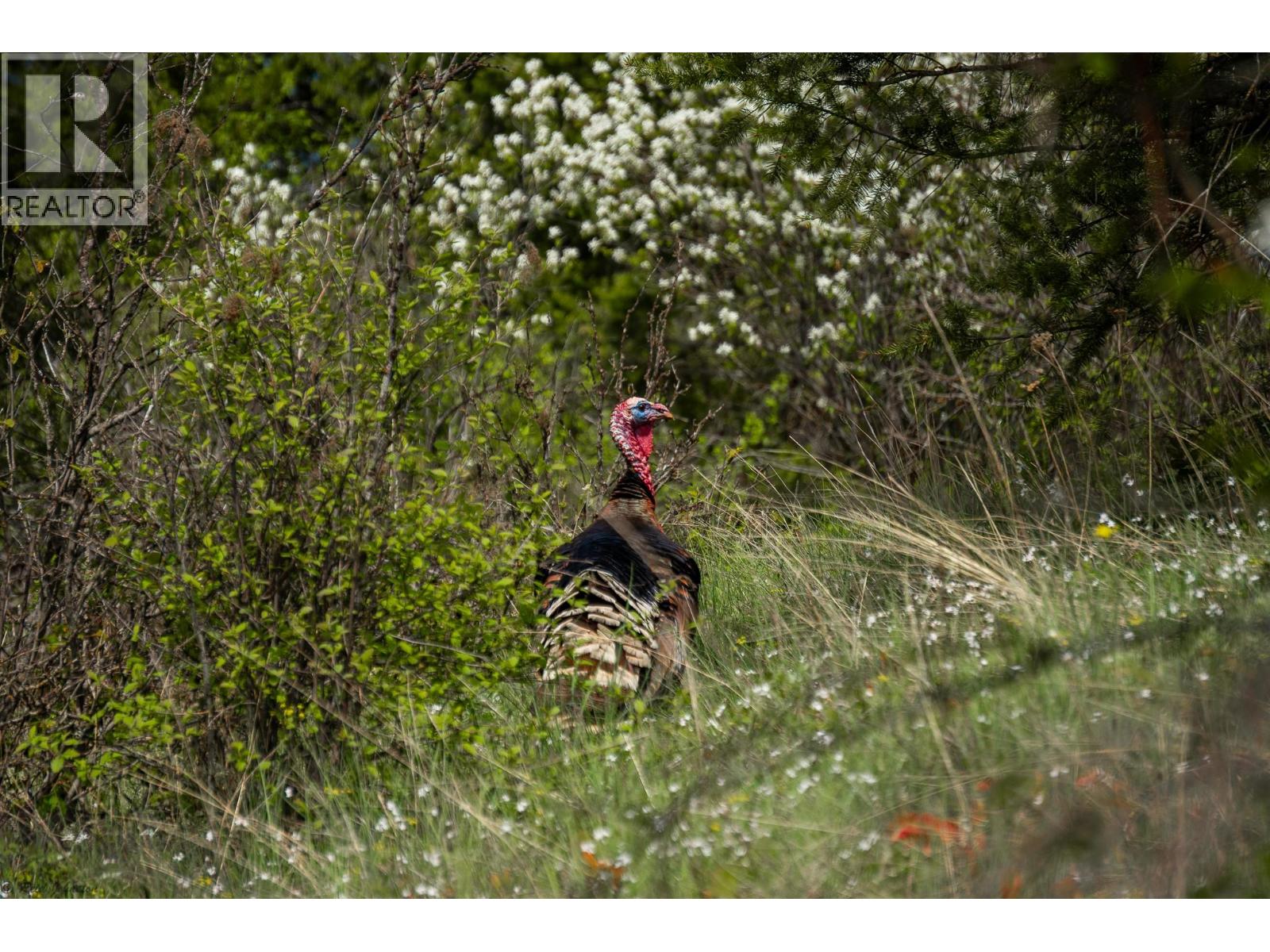 Lot C Phillips Road, Creston, British Columbia  V0B 1G2 - Photo 13 - 10375707