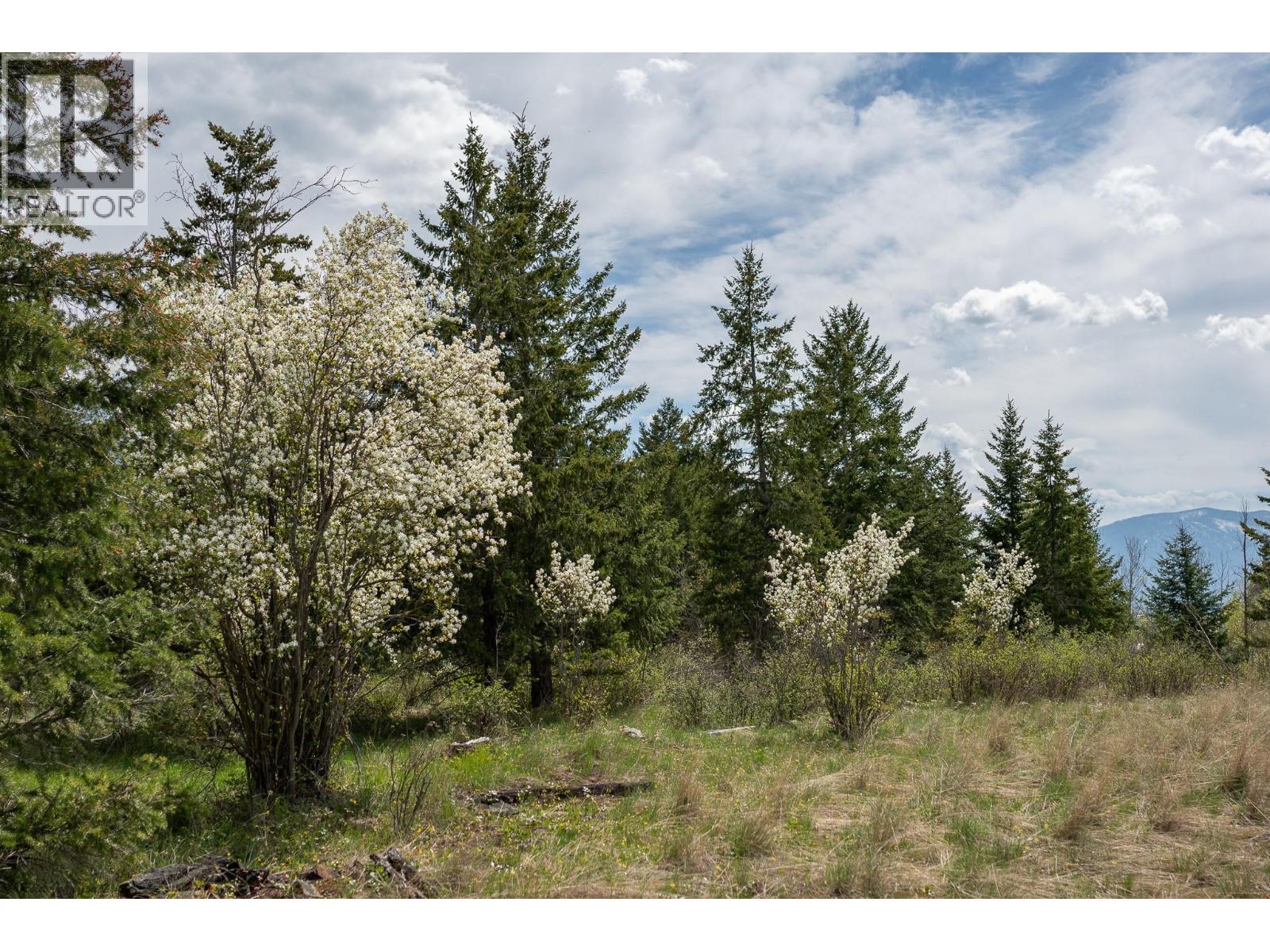 Lot C Phillips Road, Creston, British Columbia  V0B 1G2 - Photo 9 - 10375707