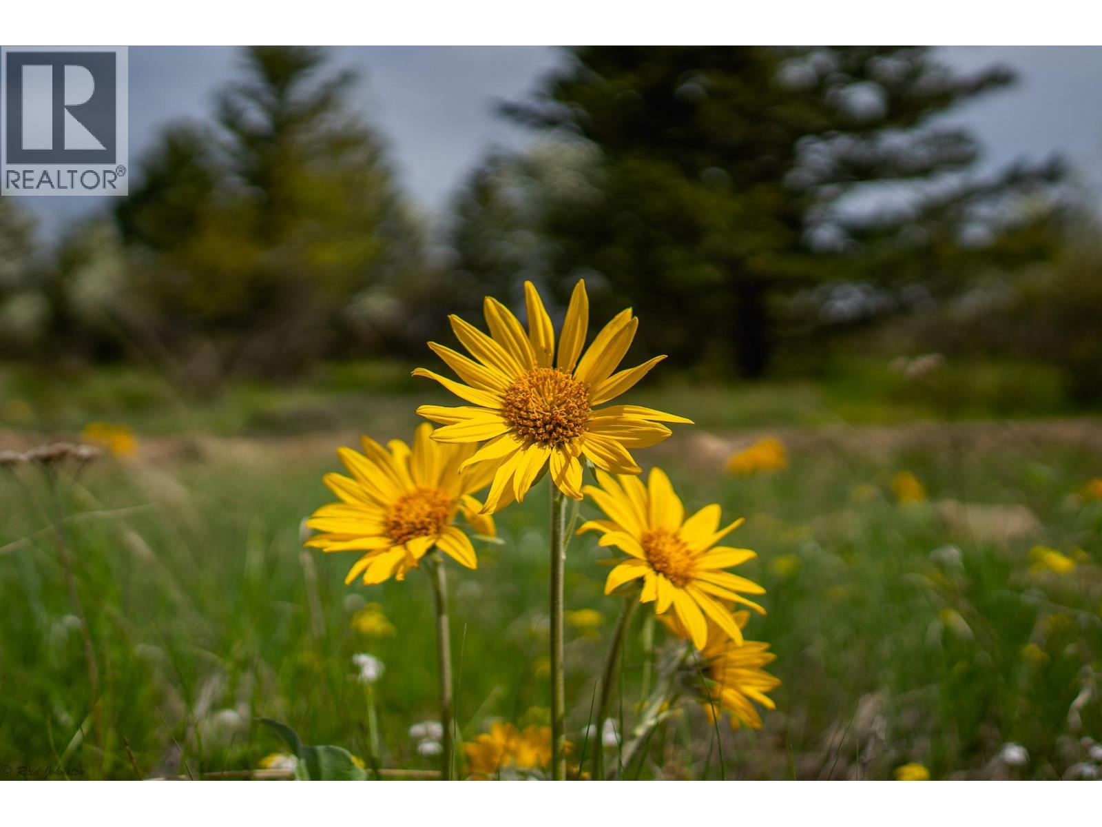 Lot B Phillips Road, Creston, British Columbia  V0B 1G2 - Photo 10 - 10375700