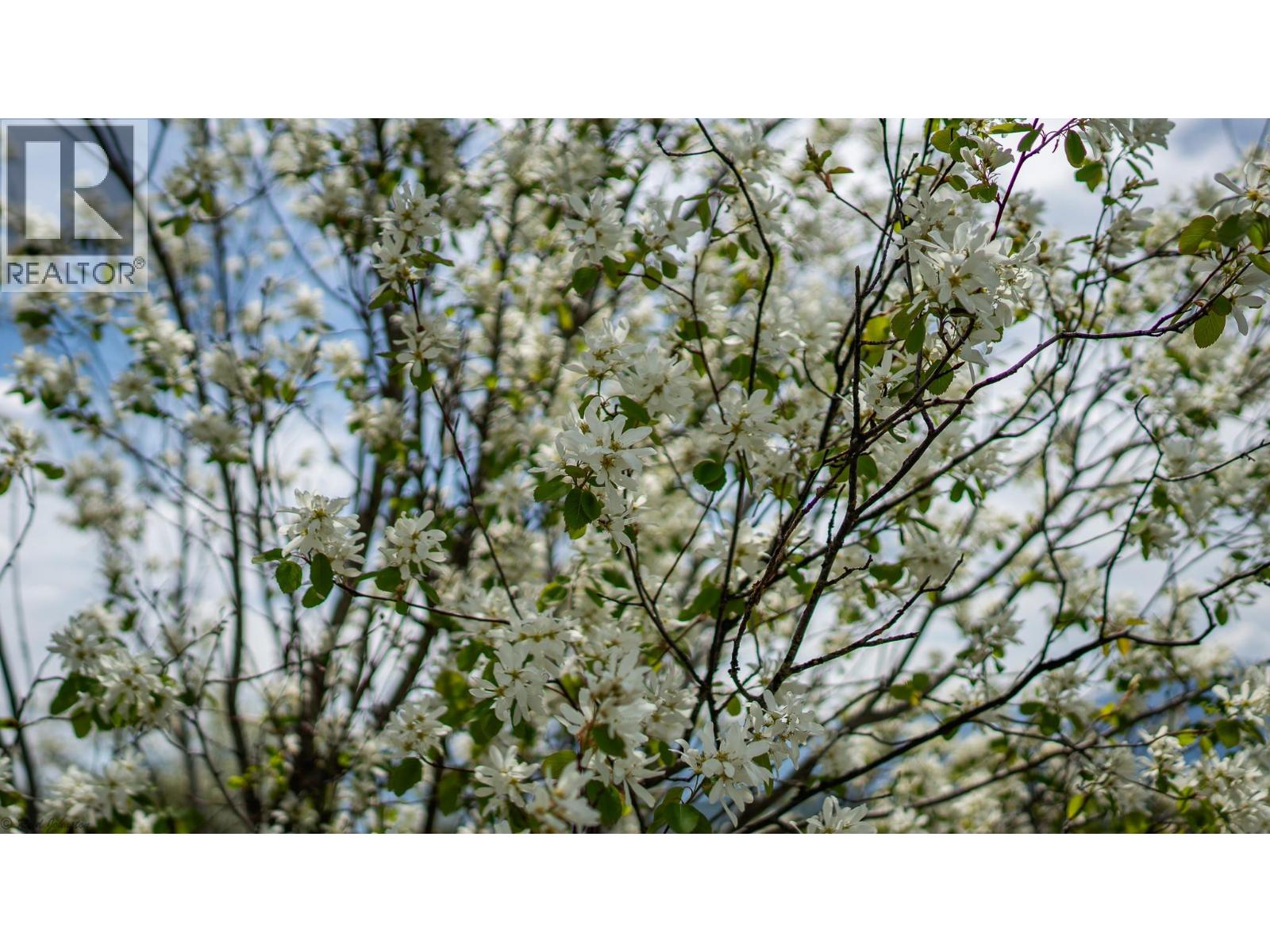 Lot B Phillips Road, Creston, British Columbia  V0B 1G2 - Photo 9 - 10375700