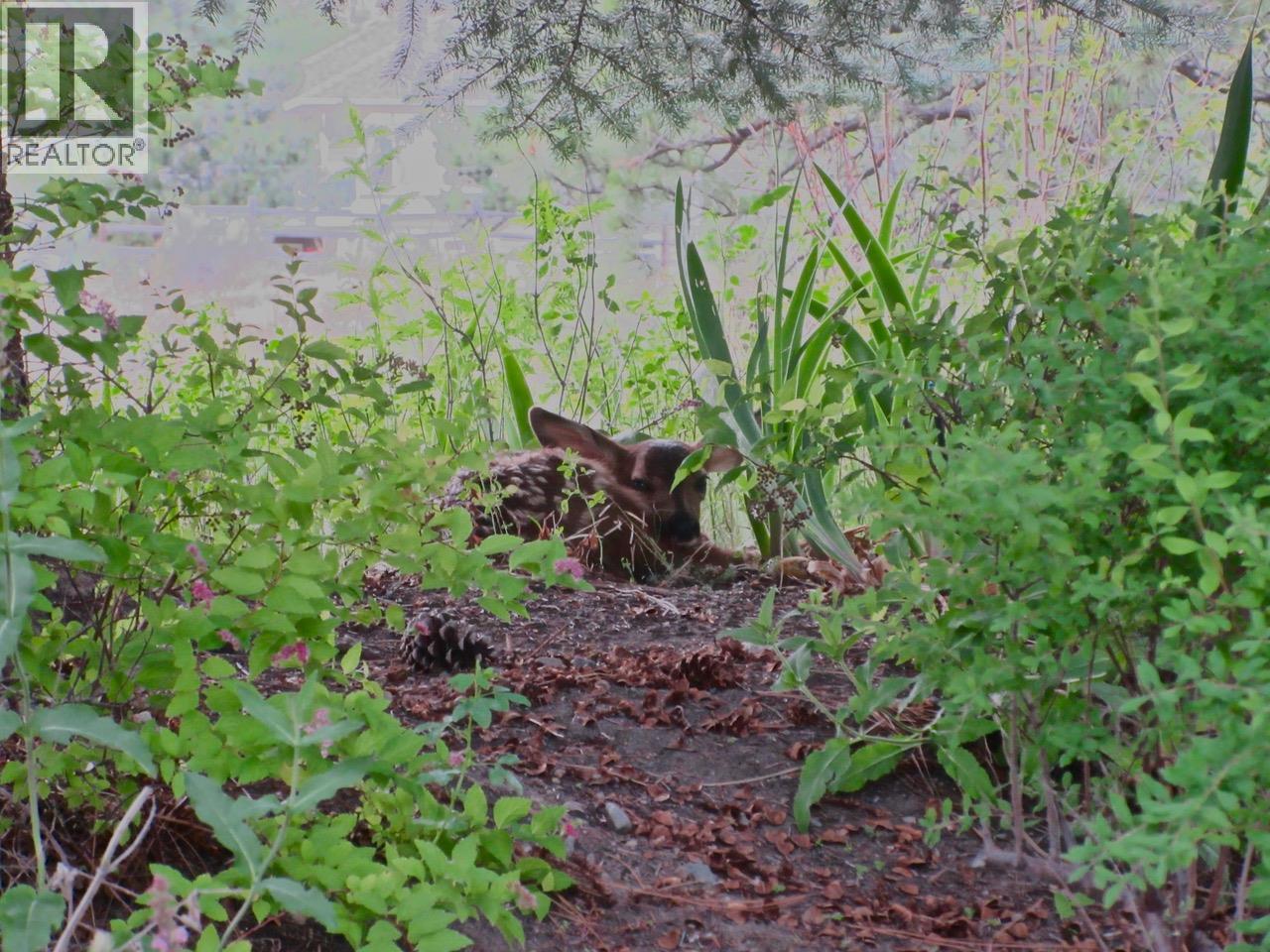 4074 Gellatly Road Unit# 126, West Kelowna, British Columbia  V4T 2S8 - Photo 14 - 10375392