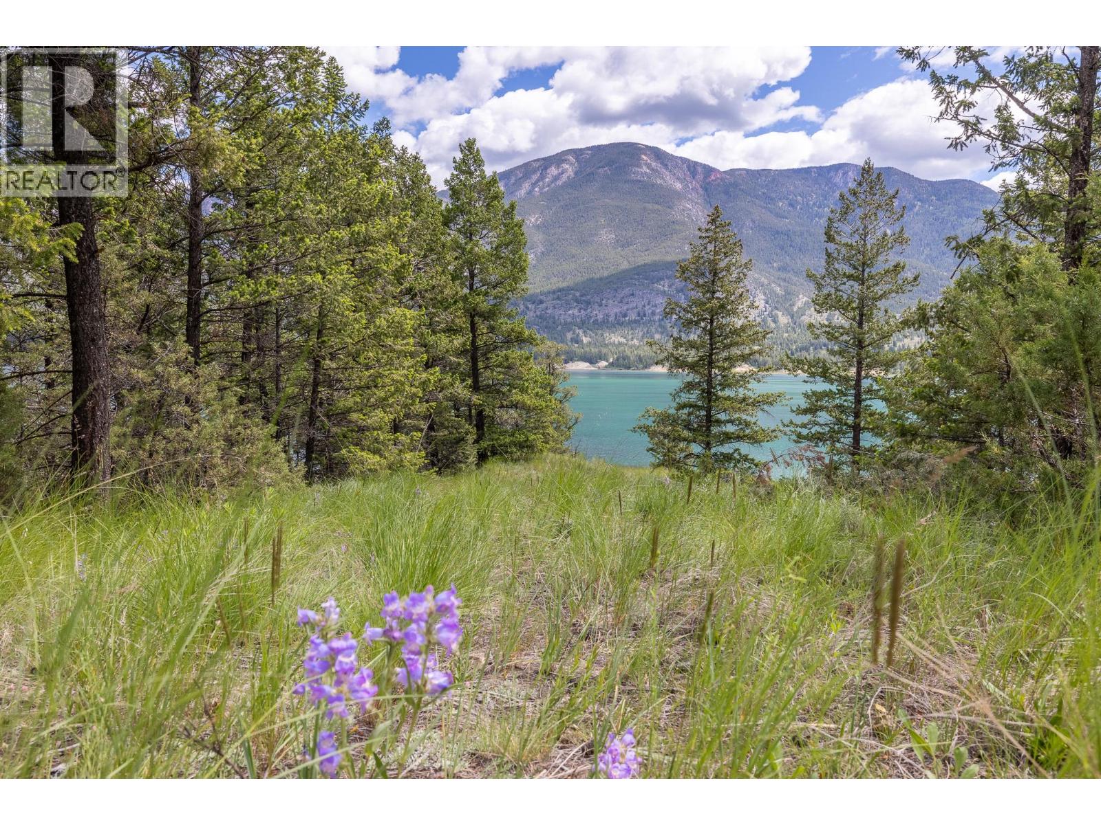 Lot A Fir Bay, Fairmont Hot Springs, British Columbia  V0B 1L2 - Photo 13 - 10375965