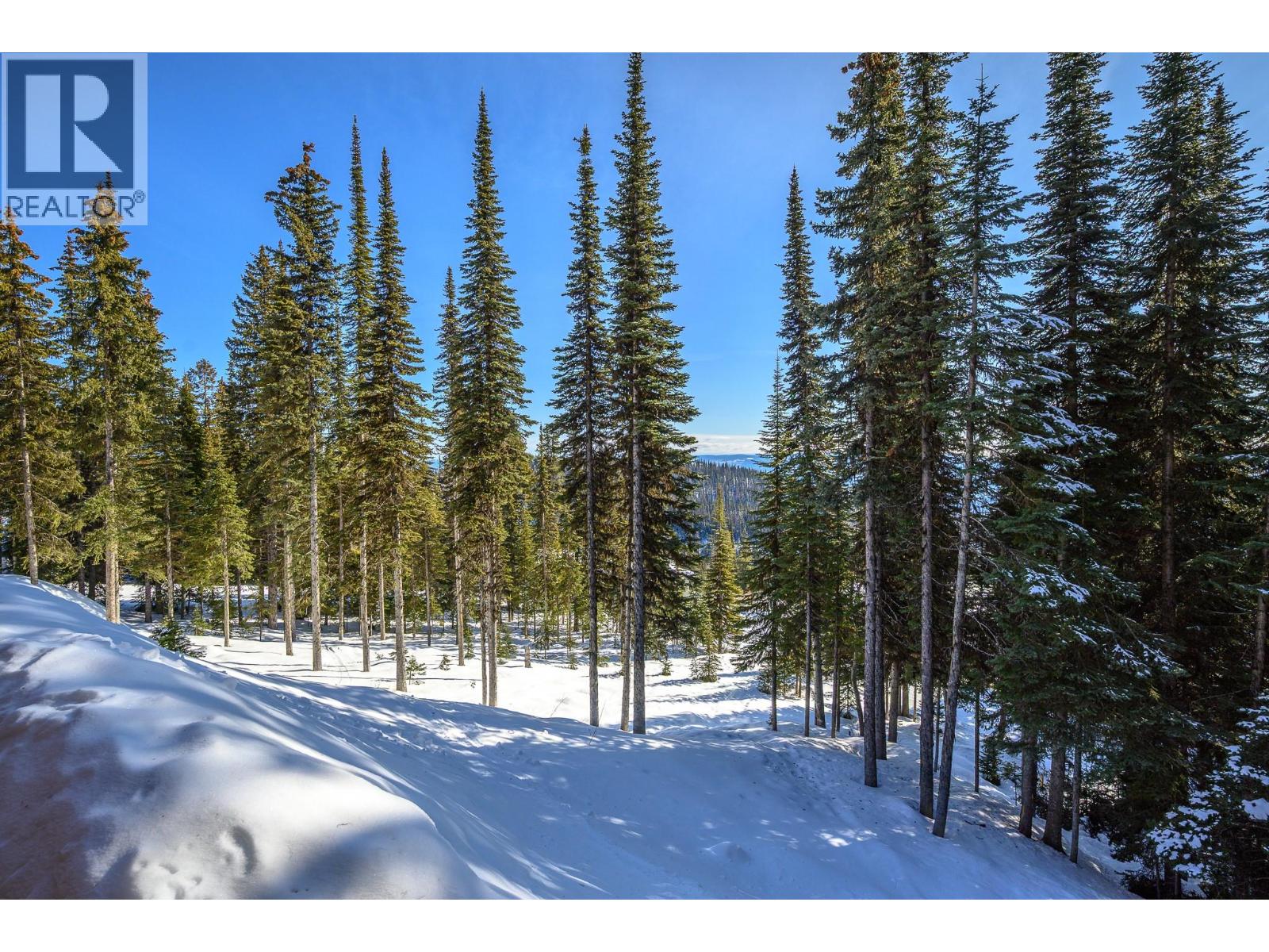 9960 Cathedral Drive, Silver Star, British Columbia  V1B 0S1 - Photo 35 - 10375592