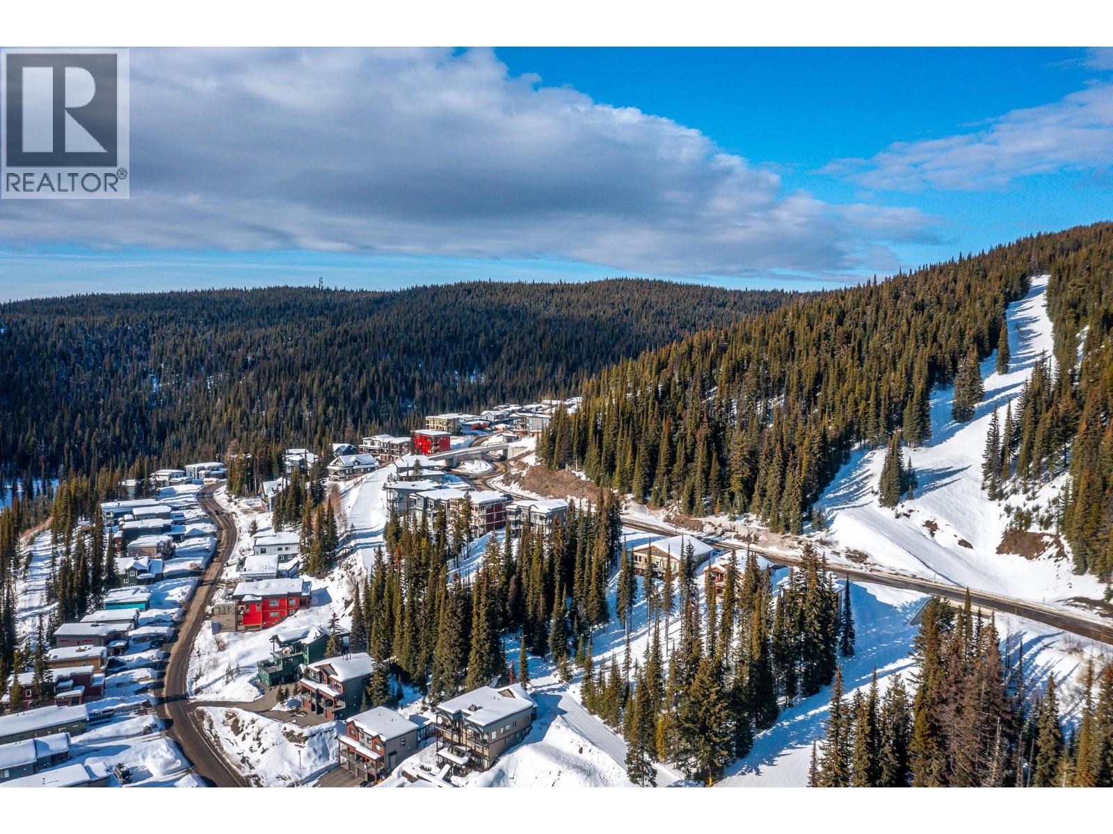 9960 Cathedral Drive, Silver Star, British Columbia  V1B 0S1 - Photo 42 - 10375592