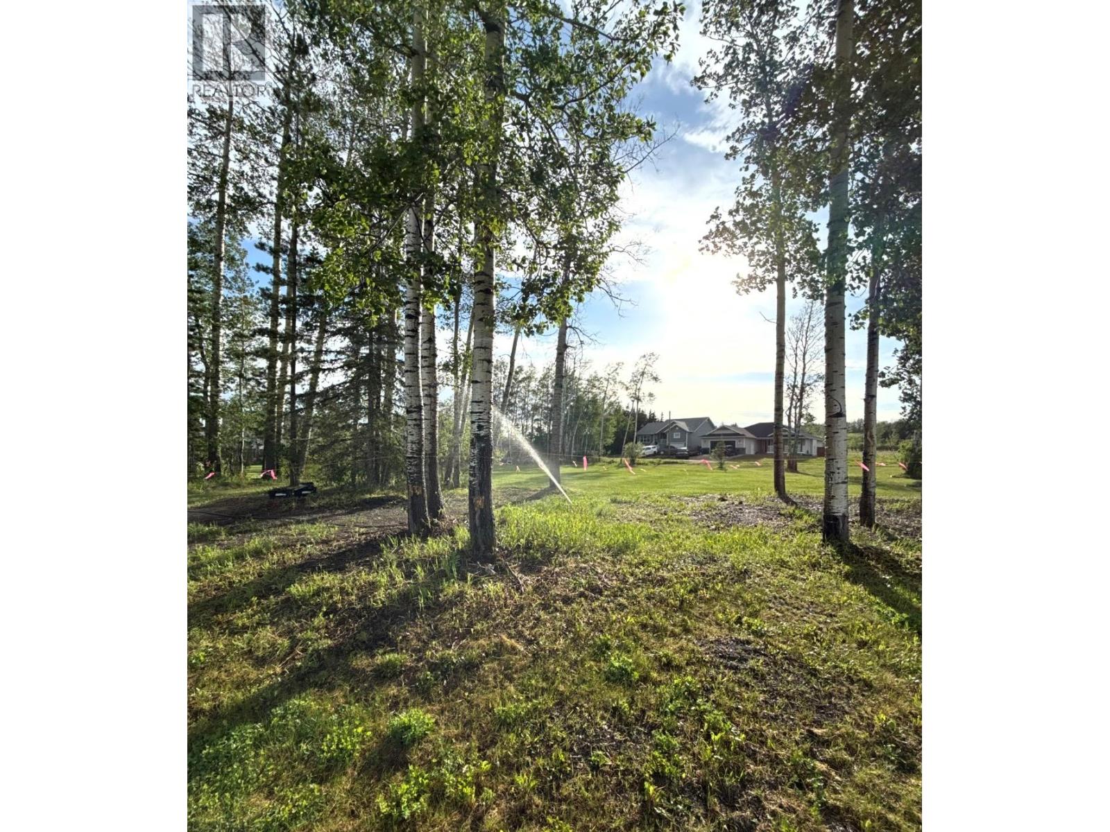 5304 Elevator Road, Pouce Coupe, British Columbia  V0C 2C0 - Photo 29 - 10375949