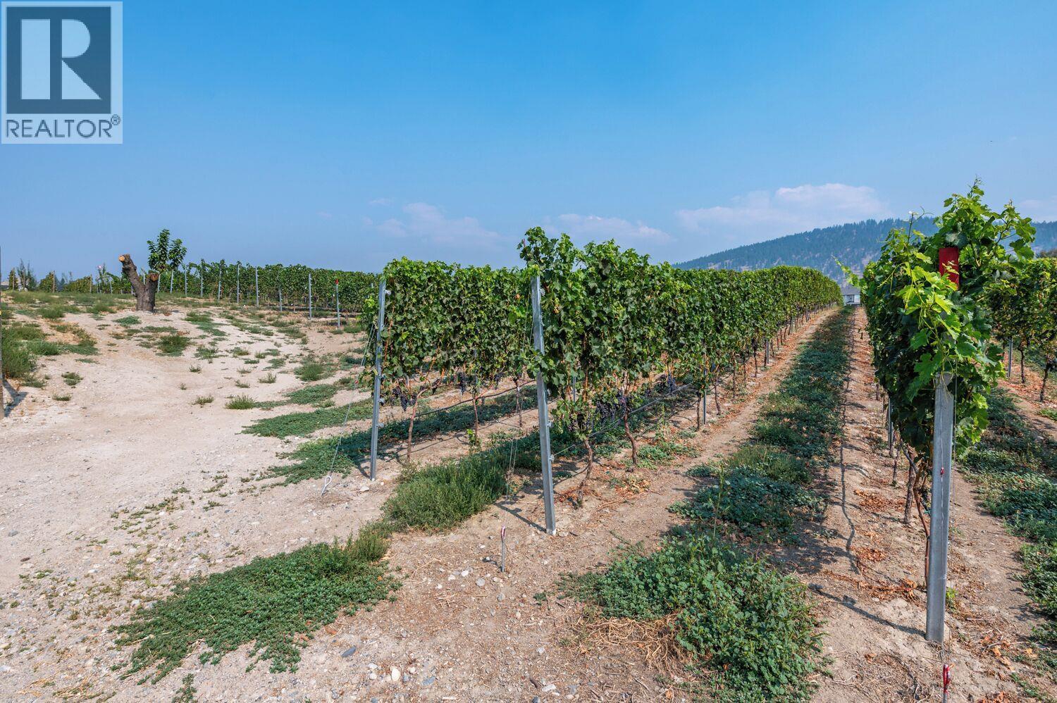 168 Lower Bench Road, Penticton, British Columbia  V2A 1A8 - Photo 22 - 10375029