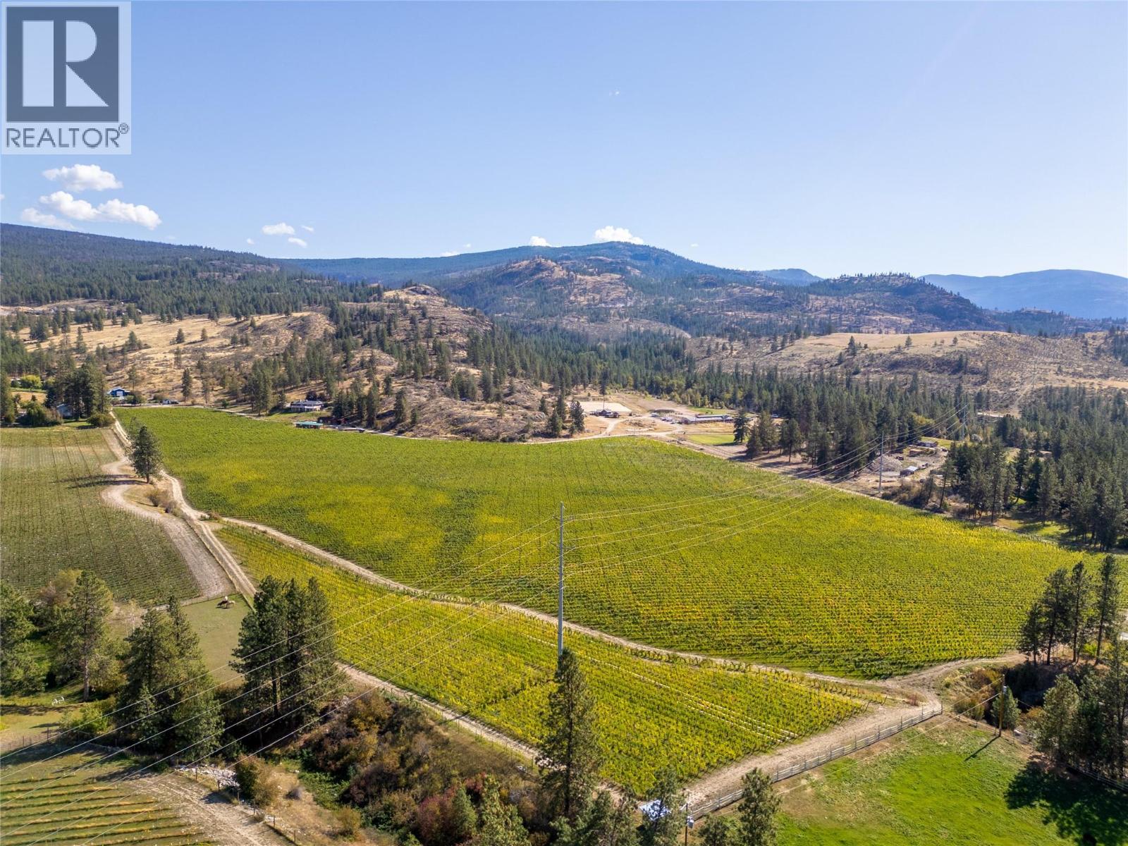 1580 Chapman Road, Okanagan Falls, British Columbia  V0H 1R1 - Photo 13 - 10376039