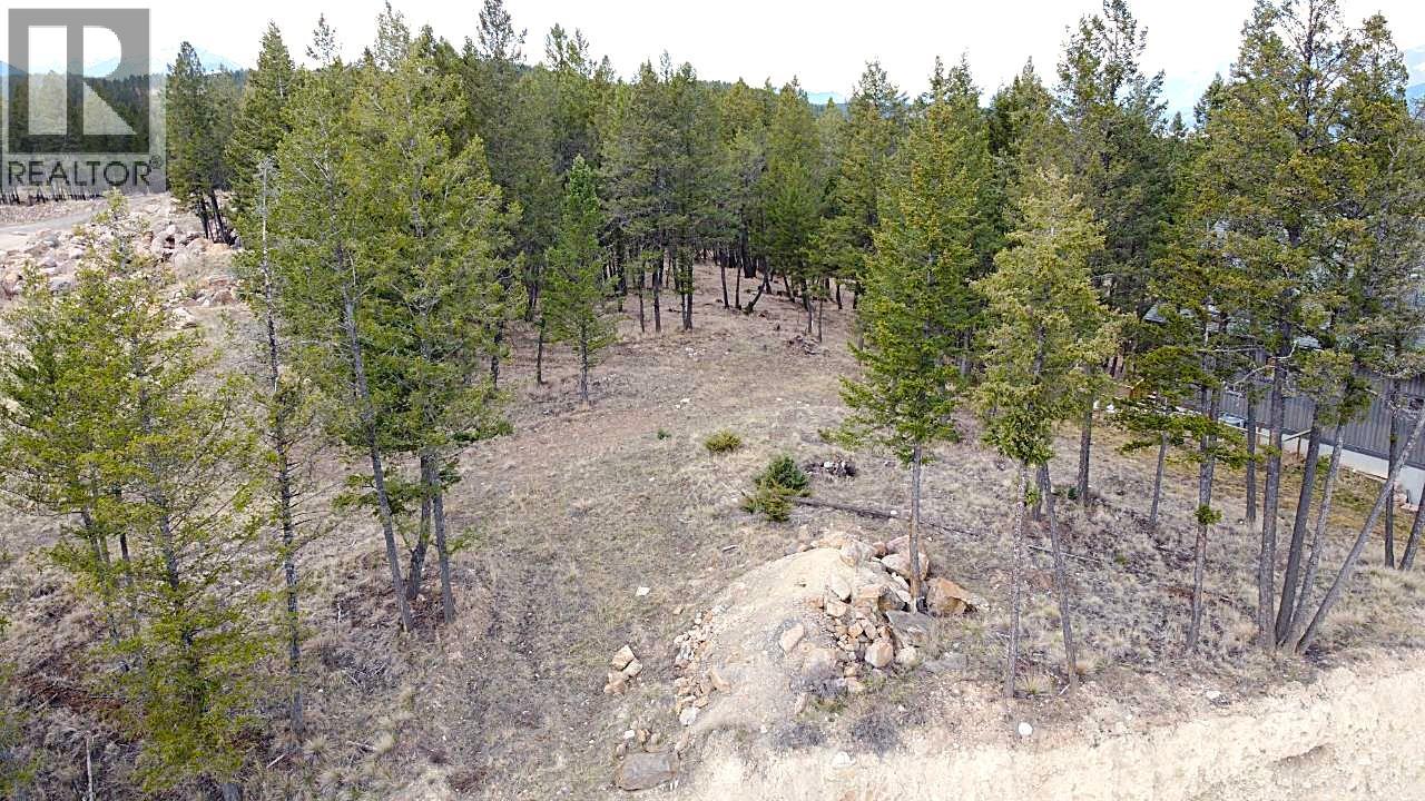 2476 Castlestone Drive, Invermere, British Columbia  V0A 1K6 - Photo 10 - 10375876