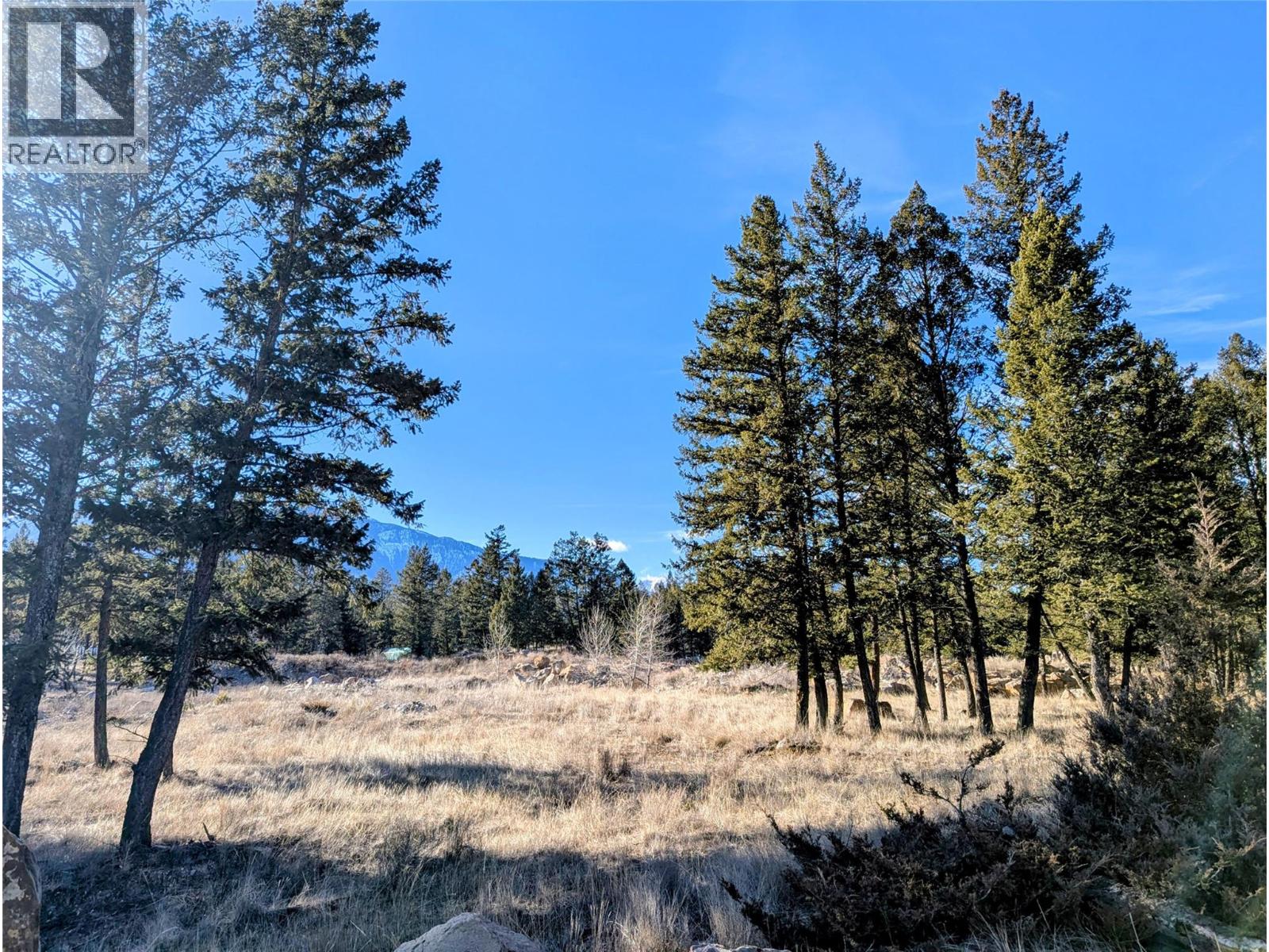 2476 Castlestone Drive, Invermere, British Columbia  V0A 1K6 - Photo 2 - 10375876