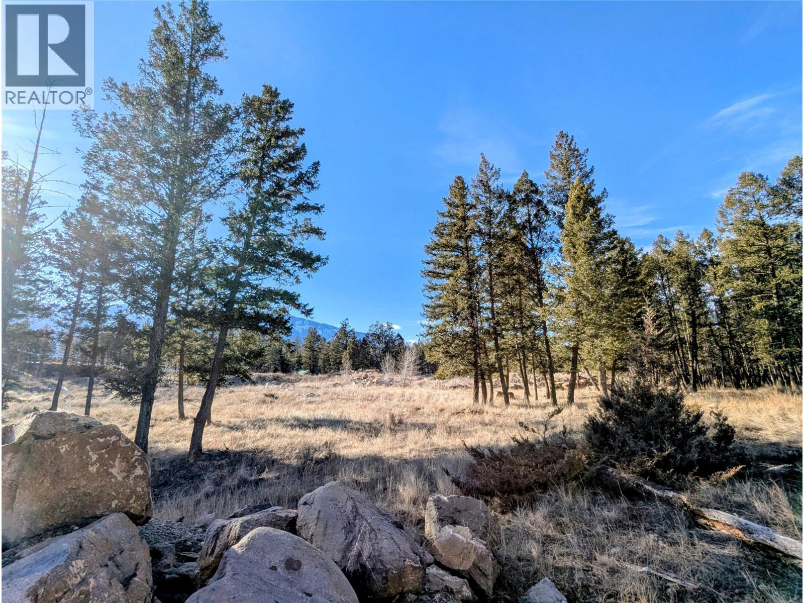 2476 Castlestone Drive, Invermere, British Columbia  V0A 1K6 - Photo 6 - 10375876