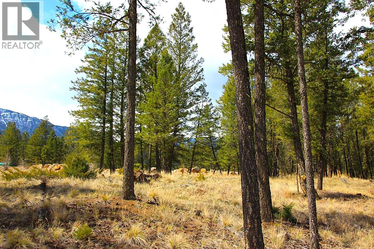 2476 Castlestone Drive, Invermere, British Columbia  V0A 1K6 - Photo 8 - 10375876