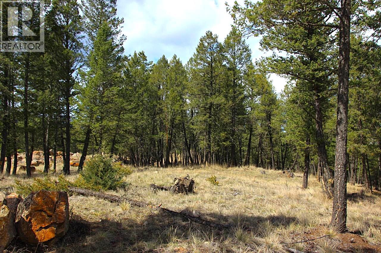 2476 Castlestone Drive, Invermere, British Columbia  V0A 1K6 - Photo 9 - 10375876