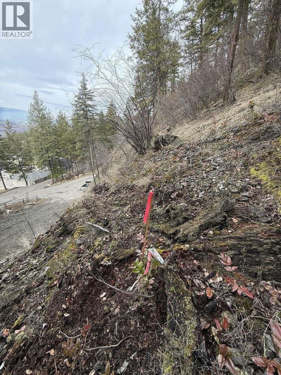 7 Garmisch Road, Vernon, British Columbia  V1H 1E3 - Photo 4 - 10376091